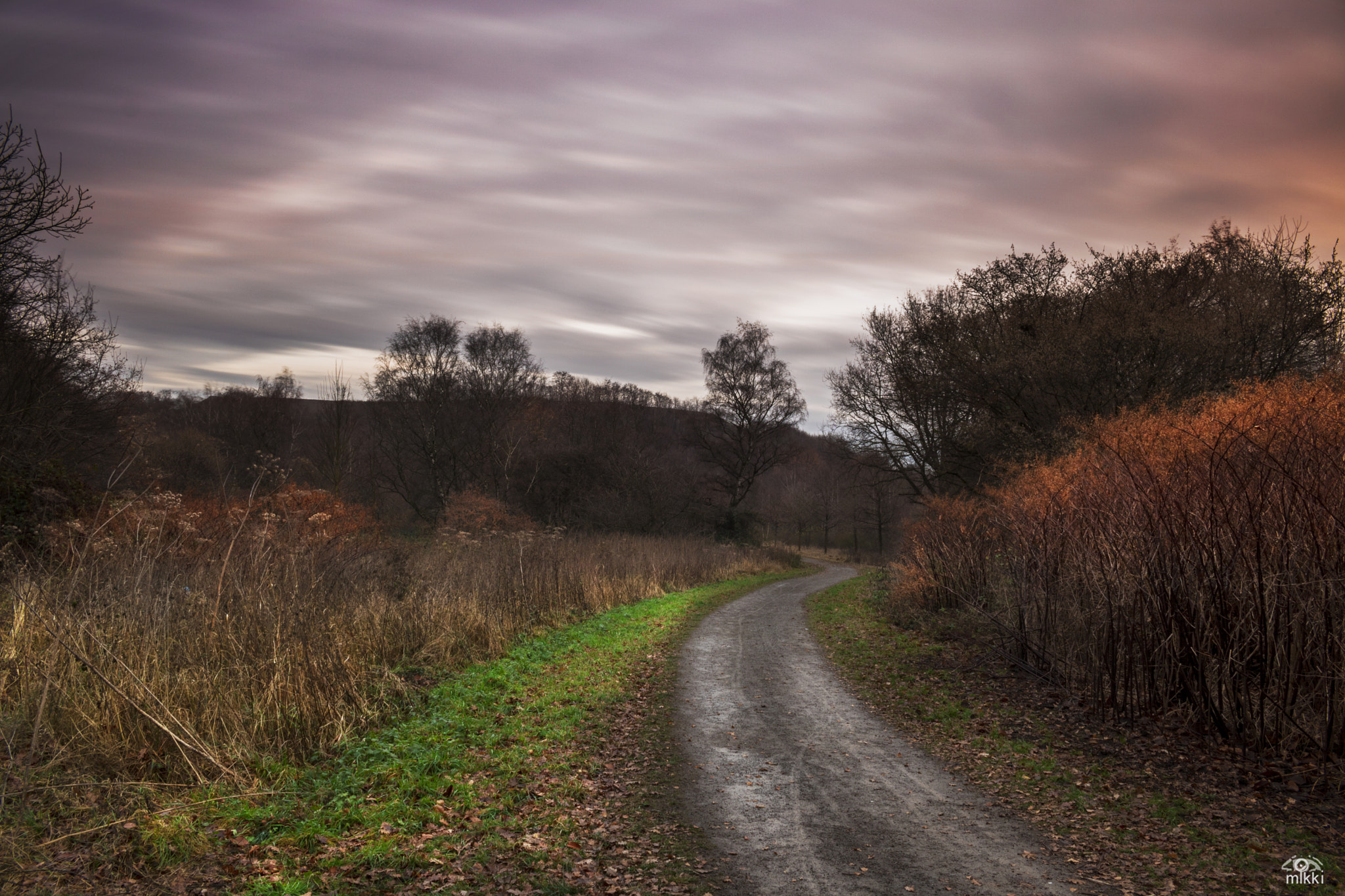 Canon EOS 760D (EOS Rebel T6s / EOS 8000D) sample photo. Path to darkness photography