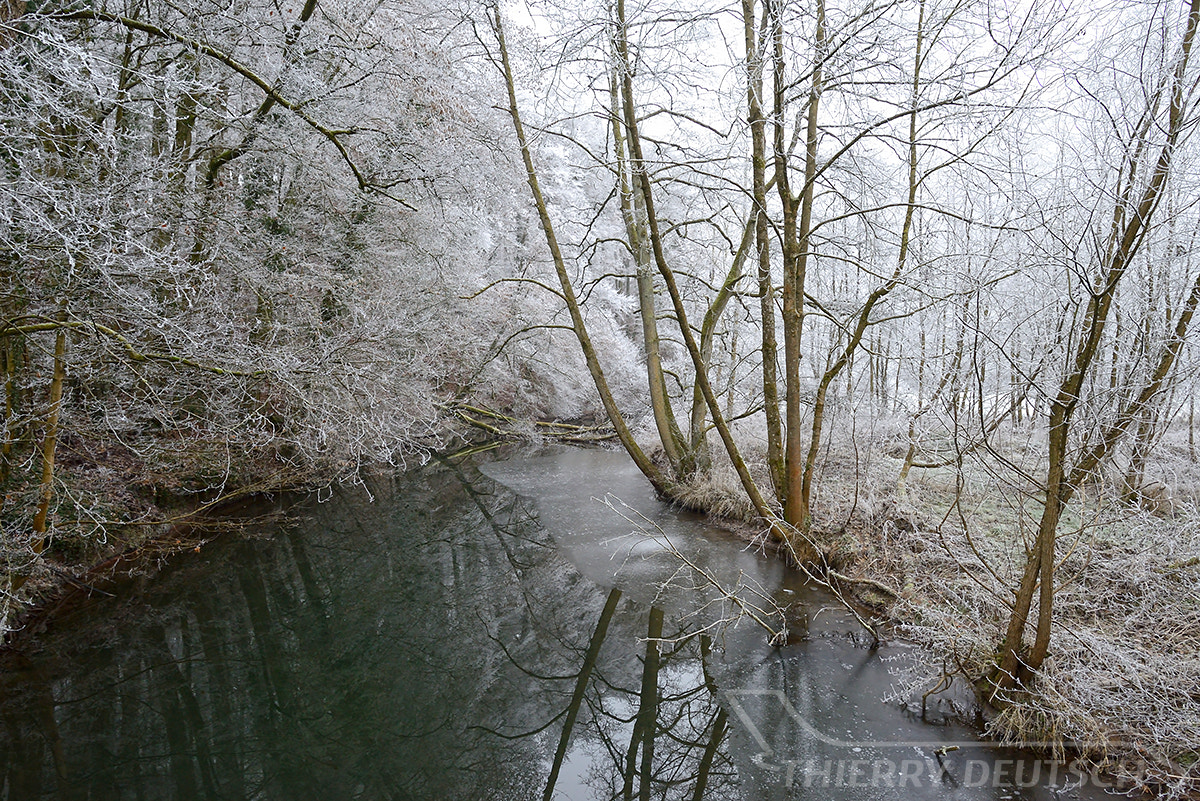 Nikon D800 + Nikon AF-S Nikkor 20mm F1.8G ED sample photo. River attert at useldange photography
