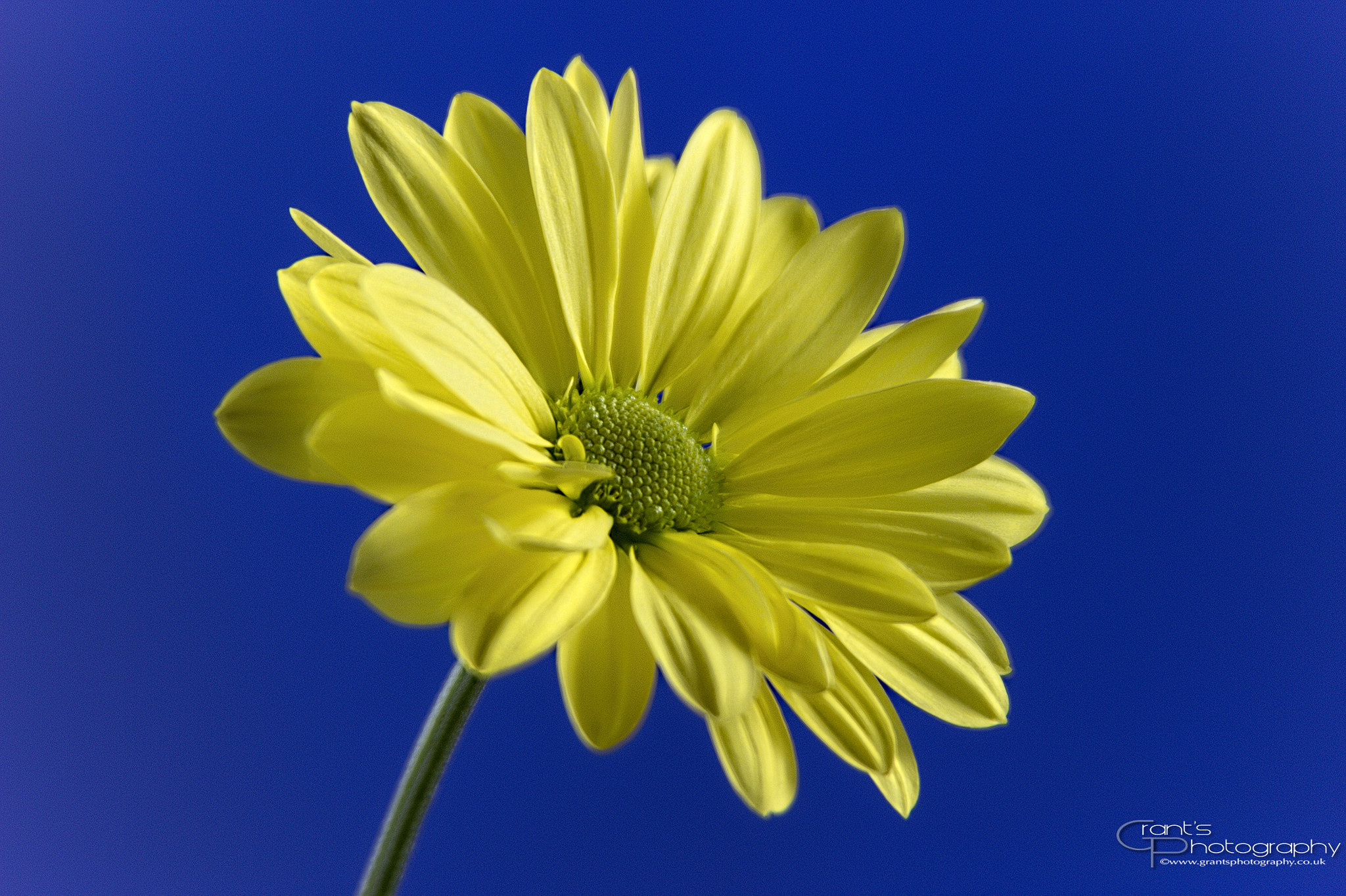 Canon EF 28-200mm F3.5-5.6 USM sample photo. Simplicity photography
