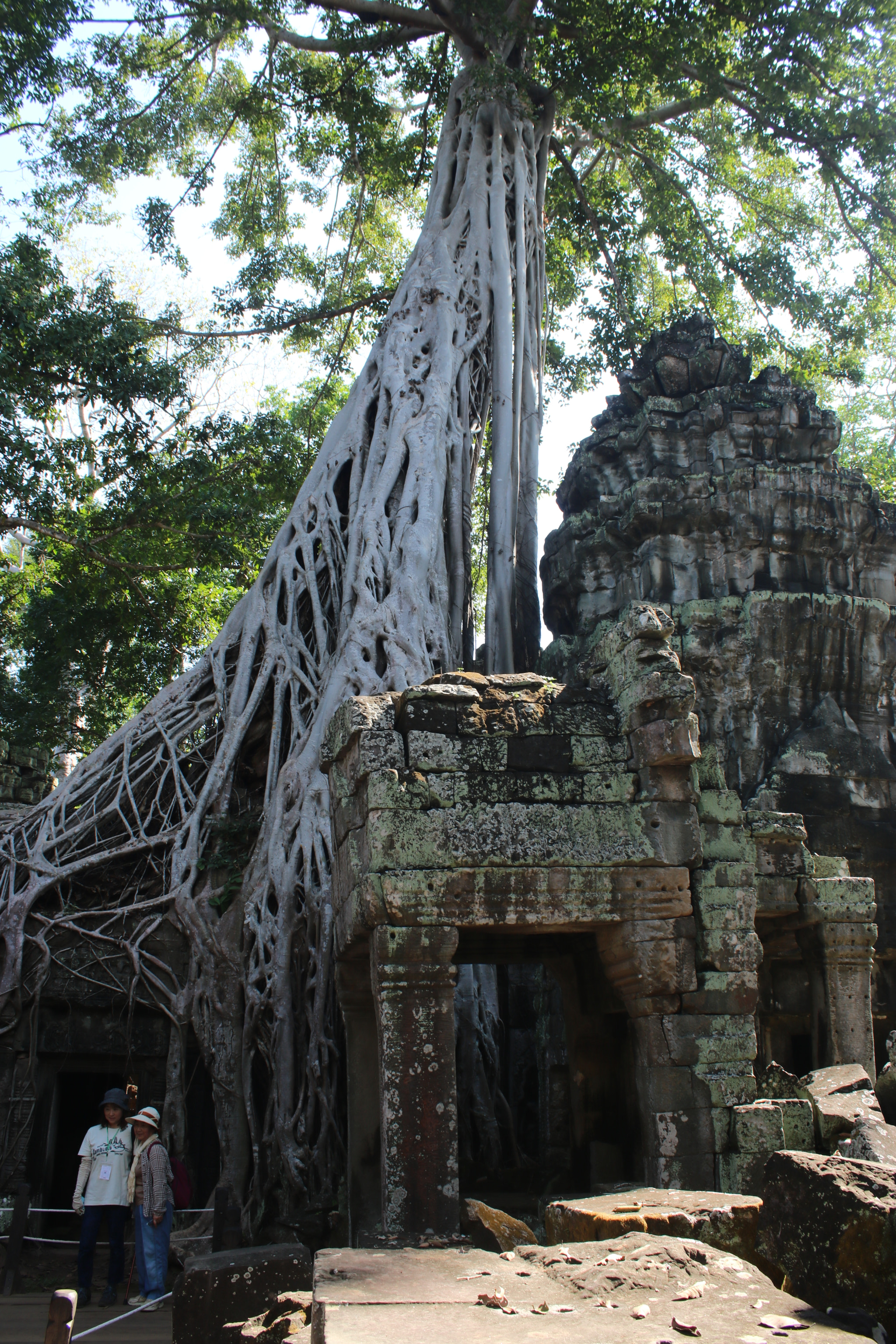 Canon EOS 750D (EOS Rebel T6i / EOS Kiss X8i) + Canon EF-S 18-55mm F3.5-5.6 IS sample photo. Angkor wat photography