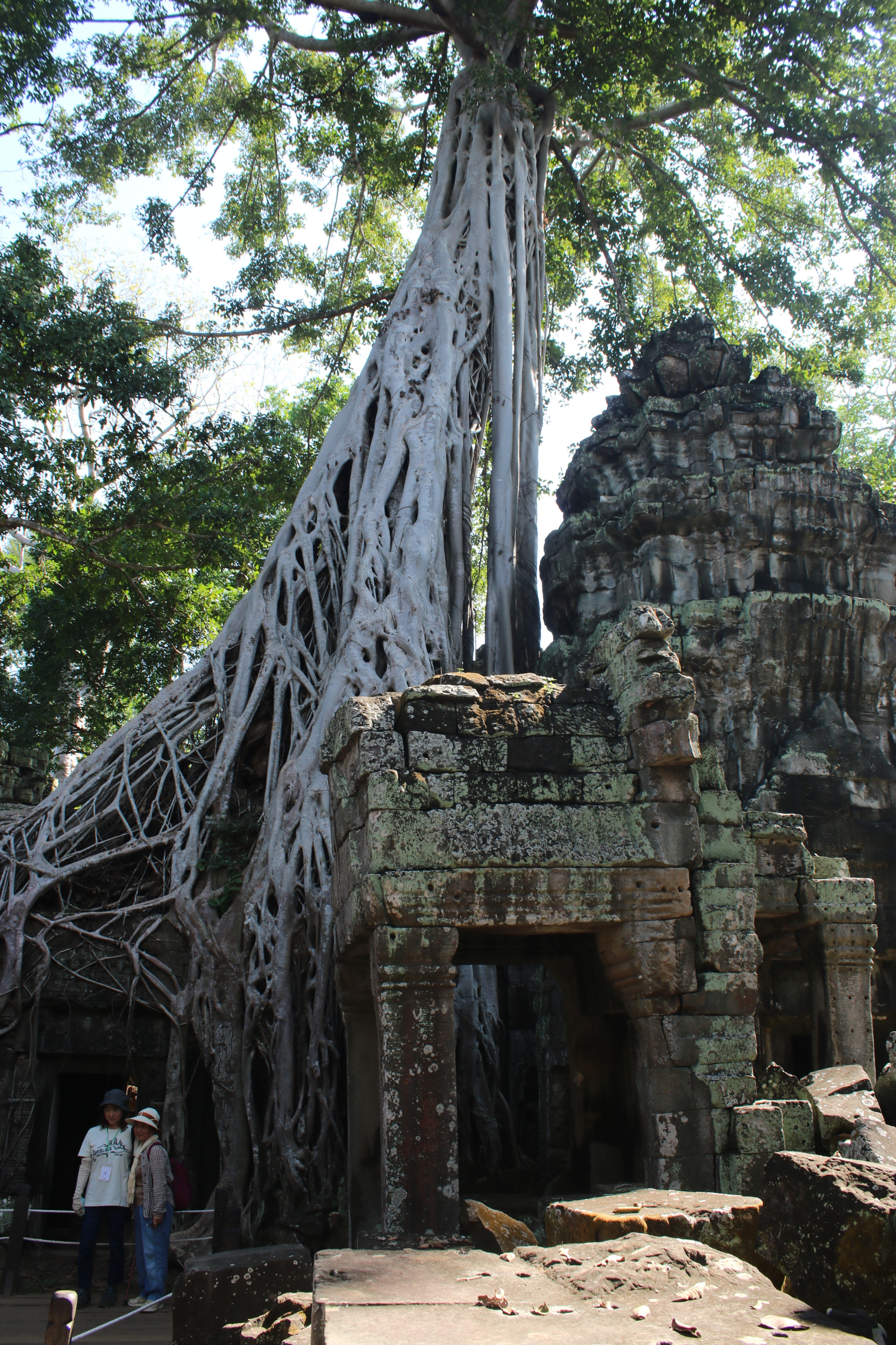 Canon EOS 750D (EOS Rebel T6i / EOS Kiss X8i) sample photo. Angkor wat photography