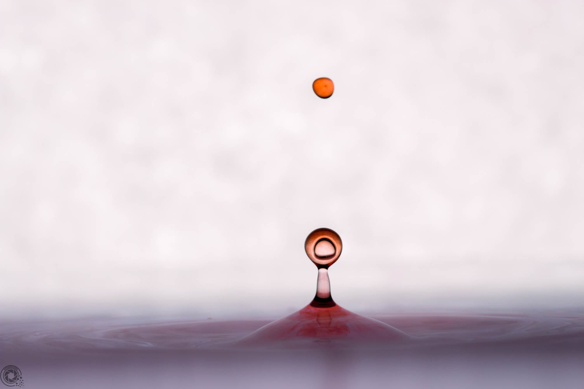 Tamron SP AF 90mm F2.8 Di Macro sample photo. Drop with bubble photography