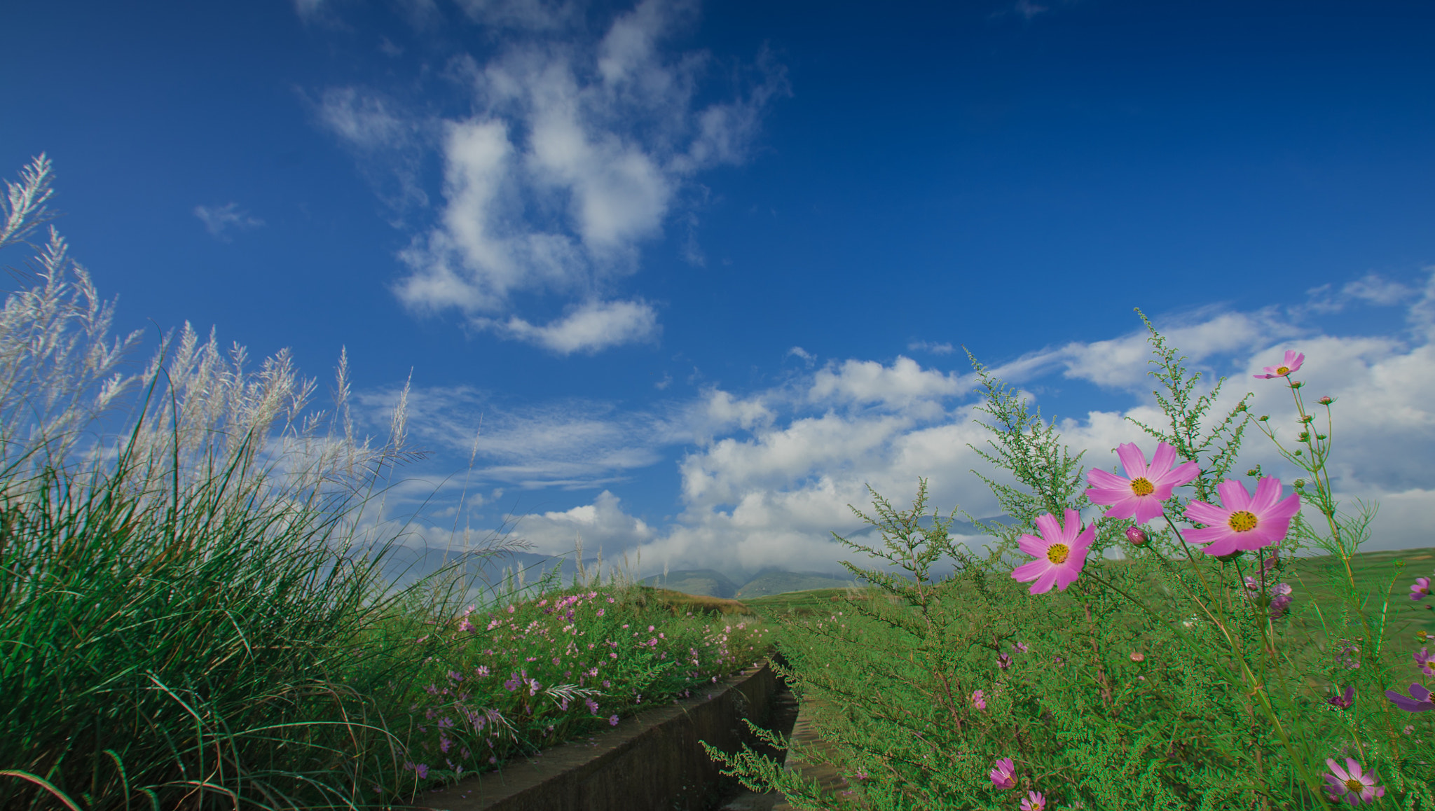 Sony a7S II sample photo. 凤羽渠边 photography