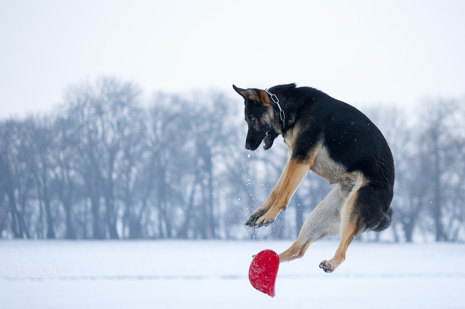Canon EF-S 55-250mm F4-5.6 IS sample photo. Snow photography