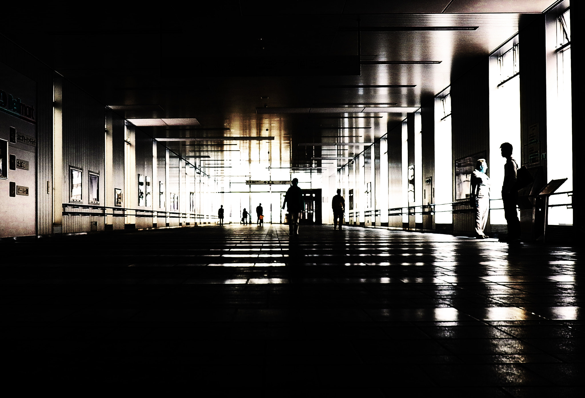 Ricoh GR DIGITAL 3 sample photo. Untitled photography