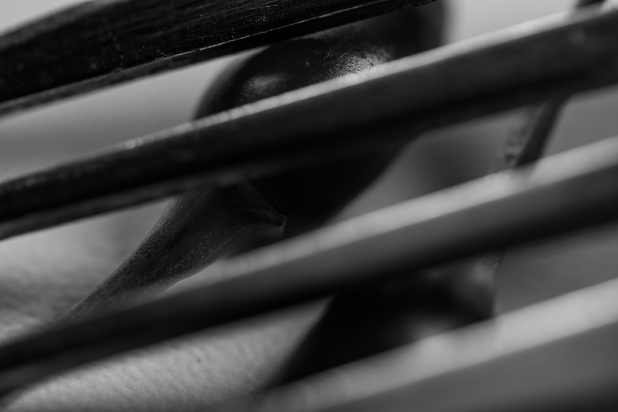 Nikon AF-S Micro-Nikkor 60mm F2.8G ED sample photo. Trapped nature photography