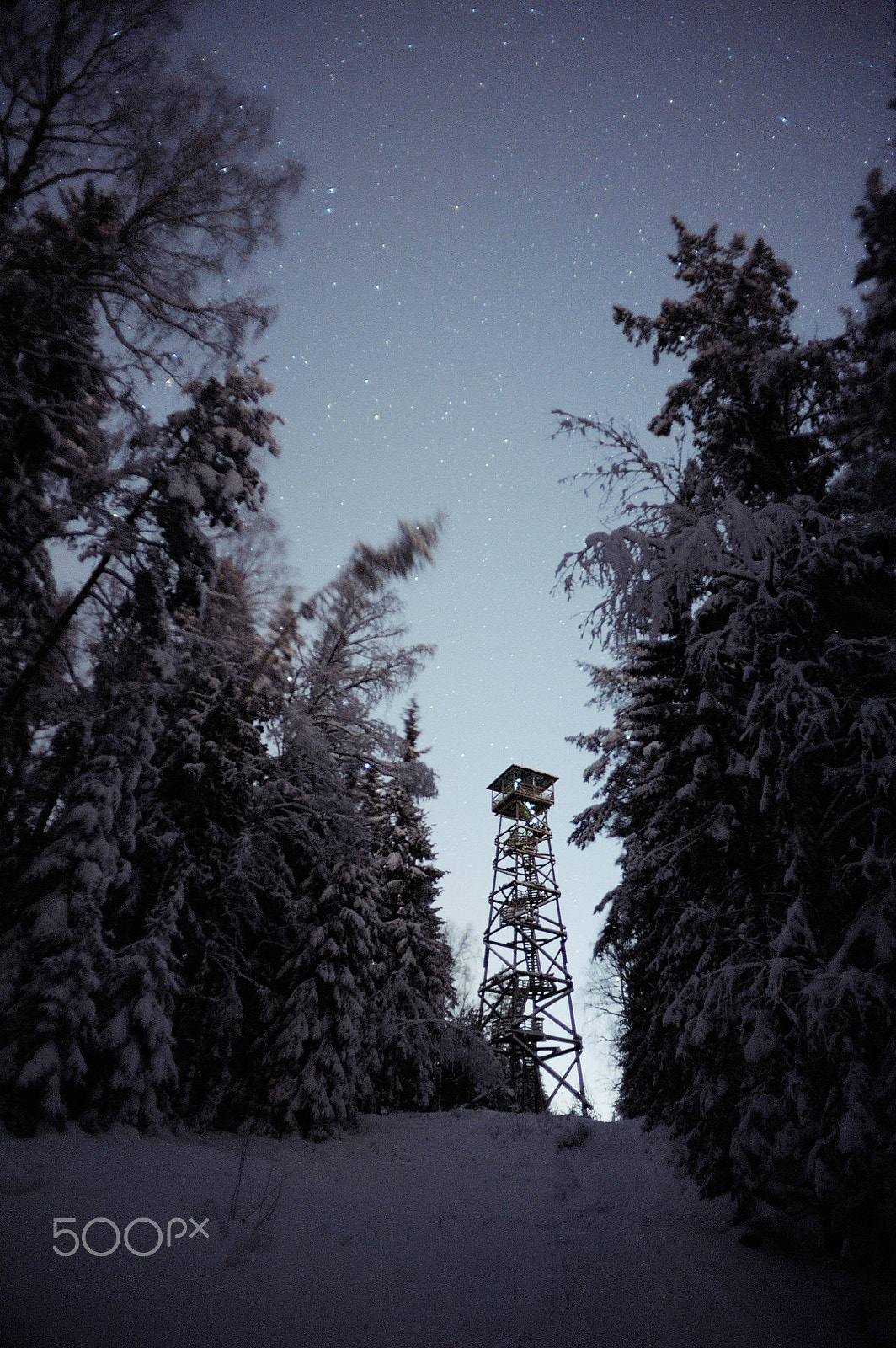 Nikon D700 + AF Nikkor 20mm f/2.8 sample photo. Forest tower photography