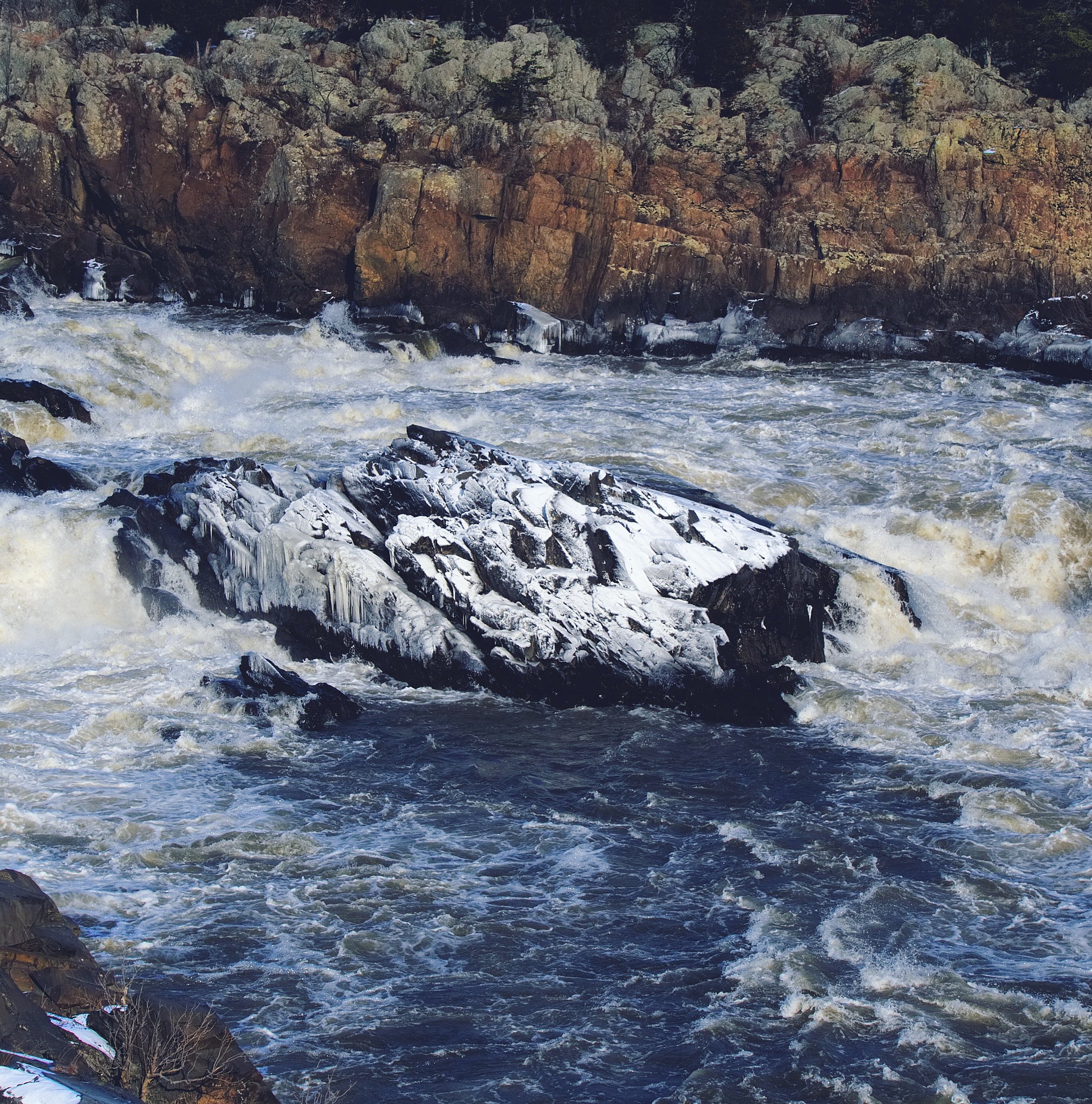 Sony E 55-210mm F4.5-6.3 OSS sample photo. Great falls, md photography