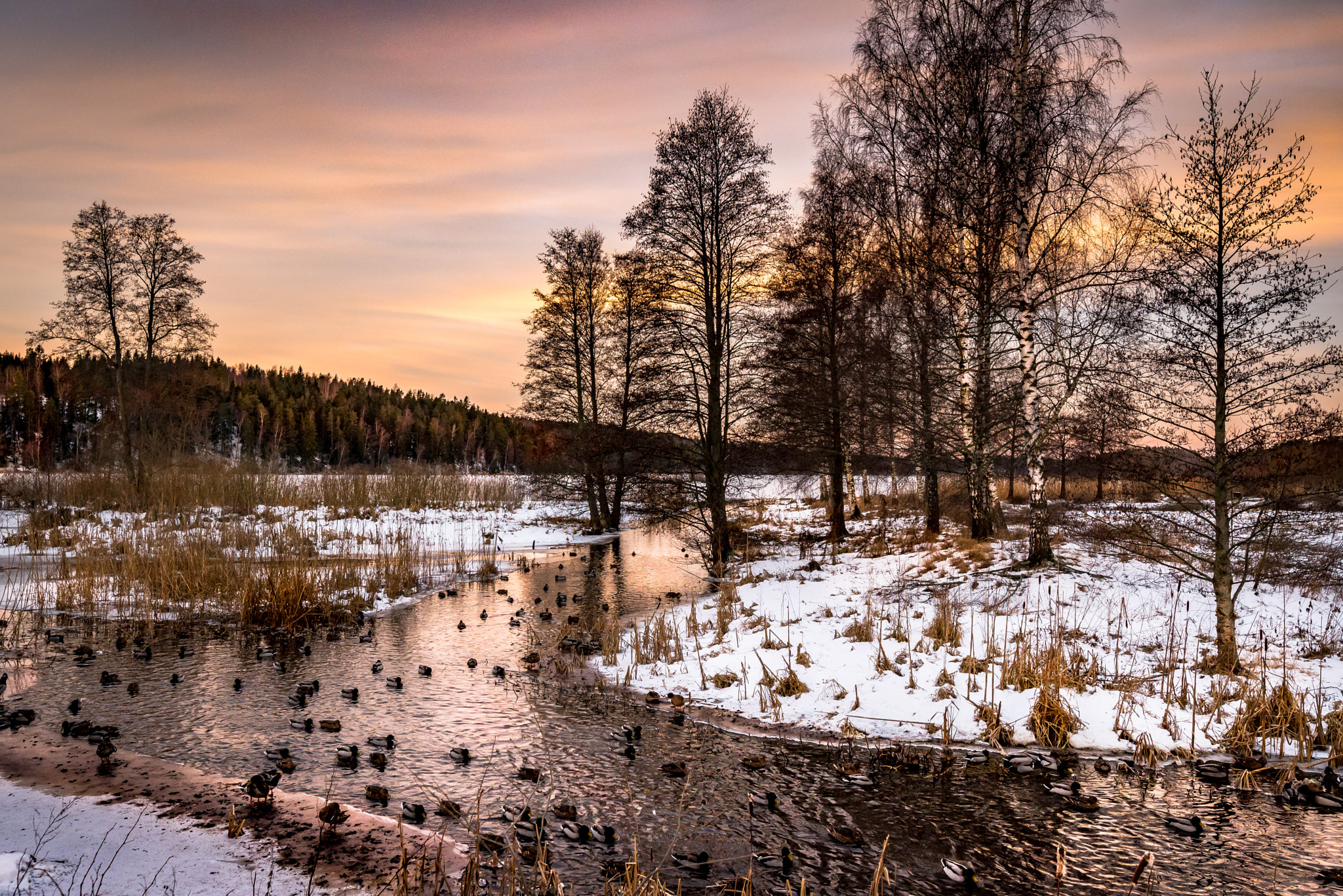 Tamron SP 15-30mm F2.8 Di VC USD sample photo. Winter stream photography