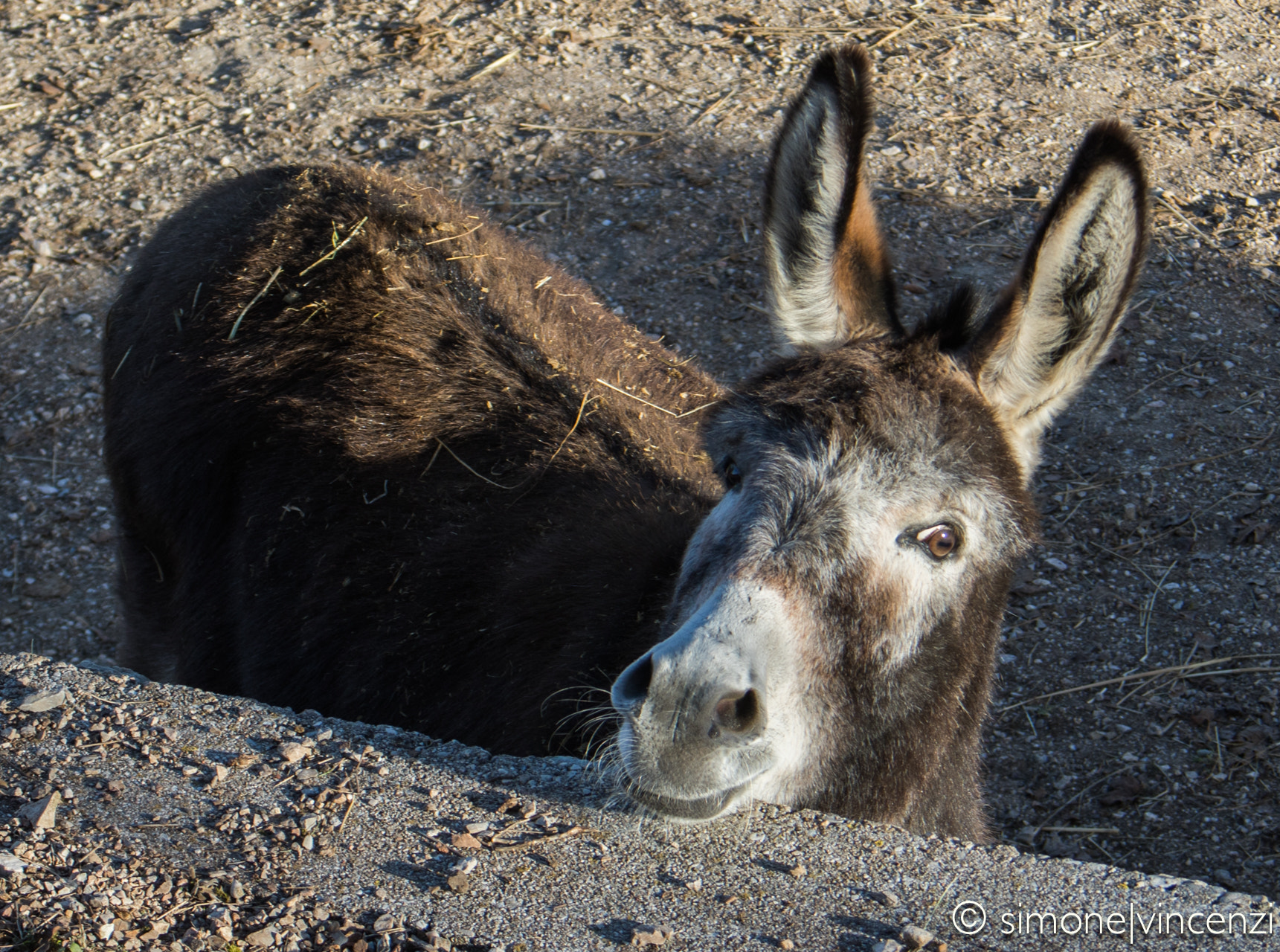 Canon EOS 5D Mark IV + Canon EF 28-80mm f/3.5-5.6 USM sample photo