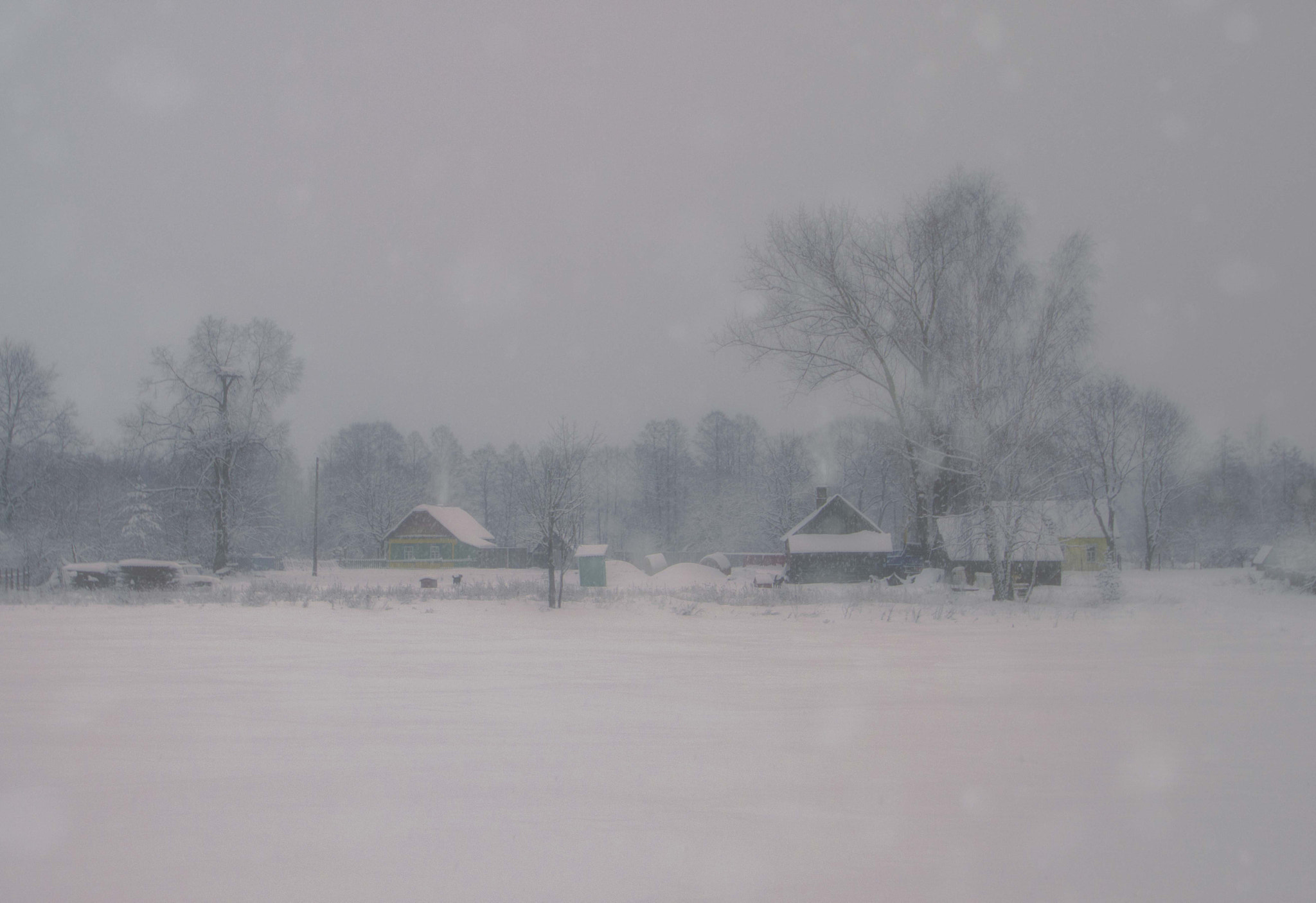 Nikon D3200 sample photo. Зимний сон photography