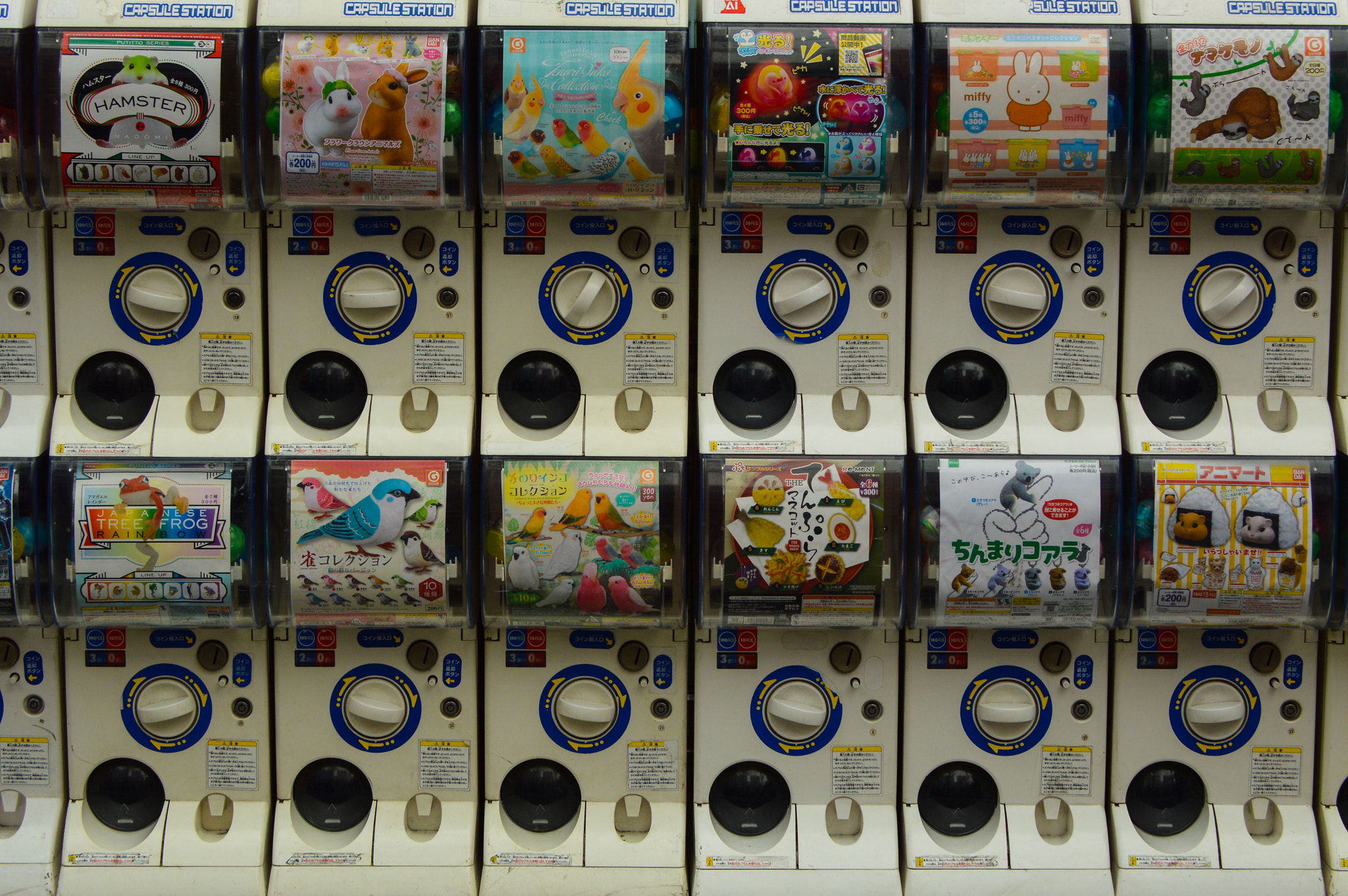 Nikon D3200 sample photo. Choose ! photography
