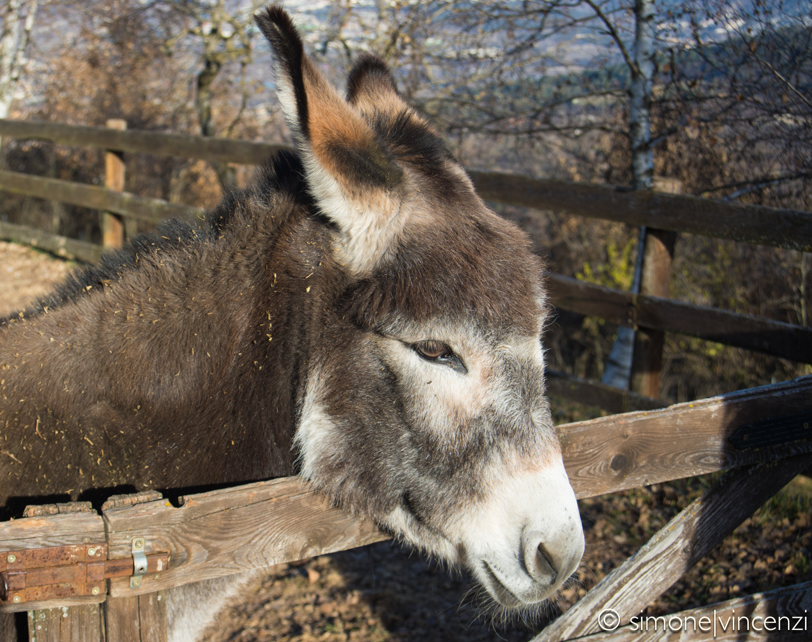 Canon EF 28-80mm f/3.5-5.6 USM sample photo