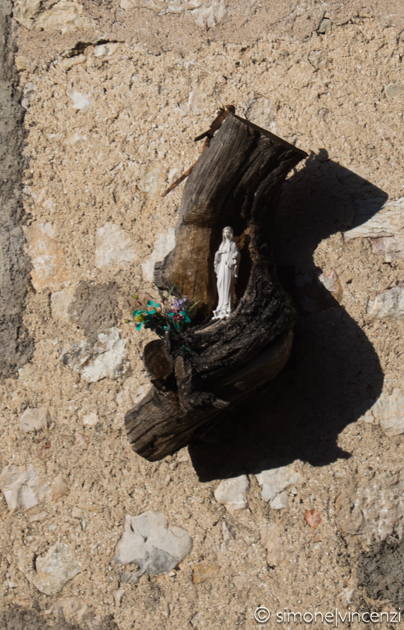 Canon EF 28-80mm f/3.5-5.6 USM sample photo
