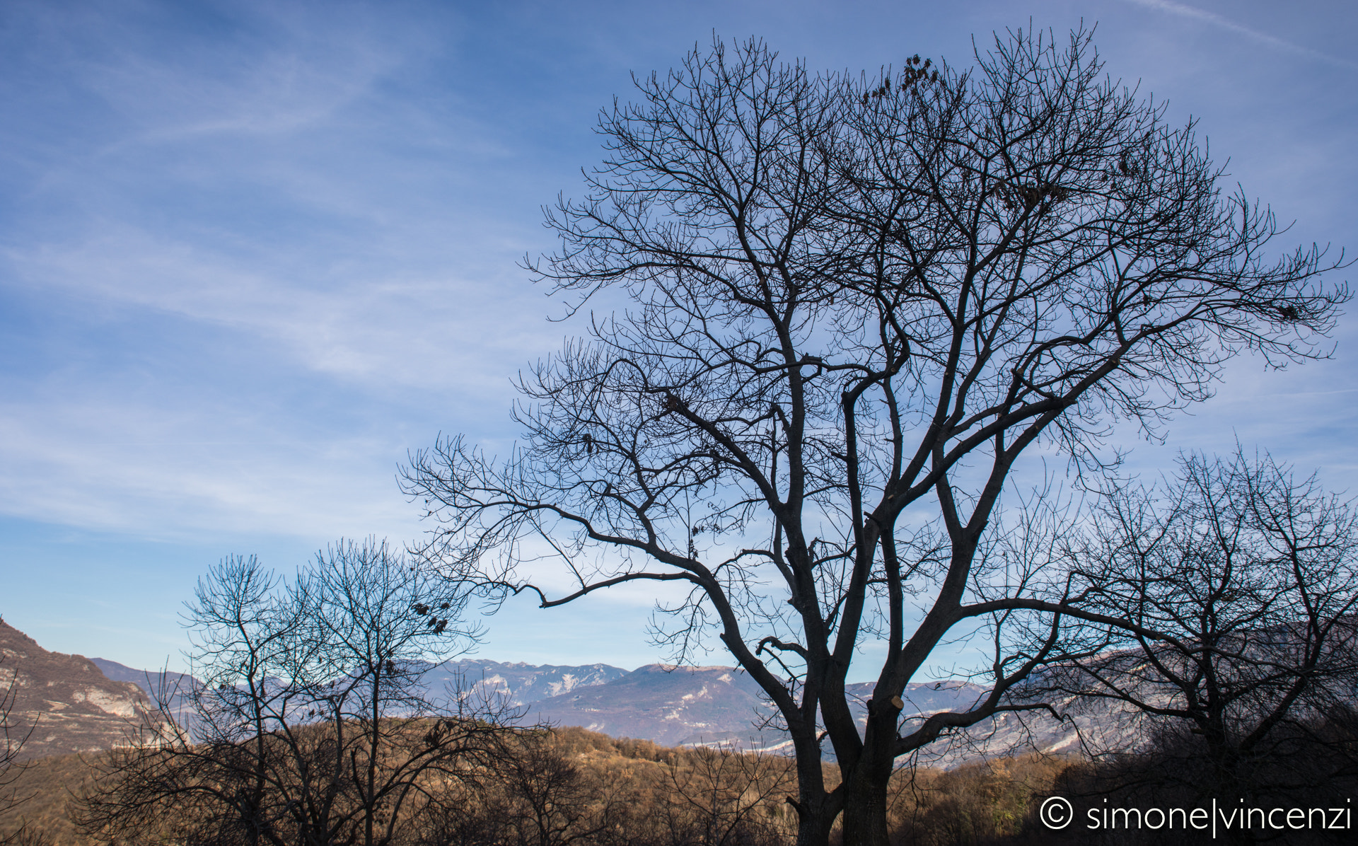 Canon EF 28-80mm f/3.5-5.6 USM sample photo