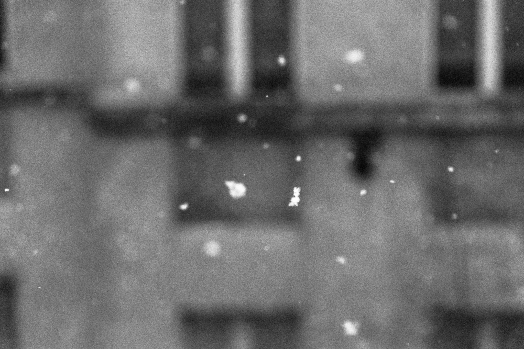 Nikon D5500 sample photo. Snowfall photography