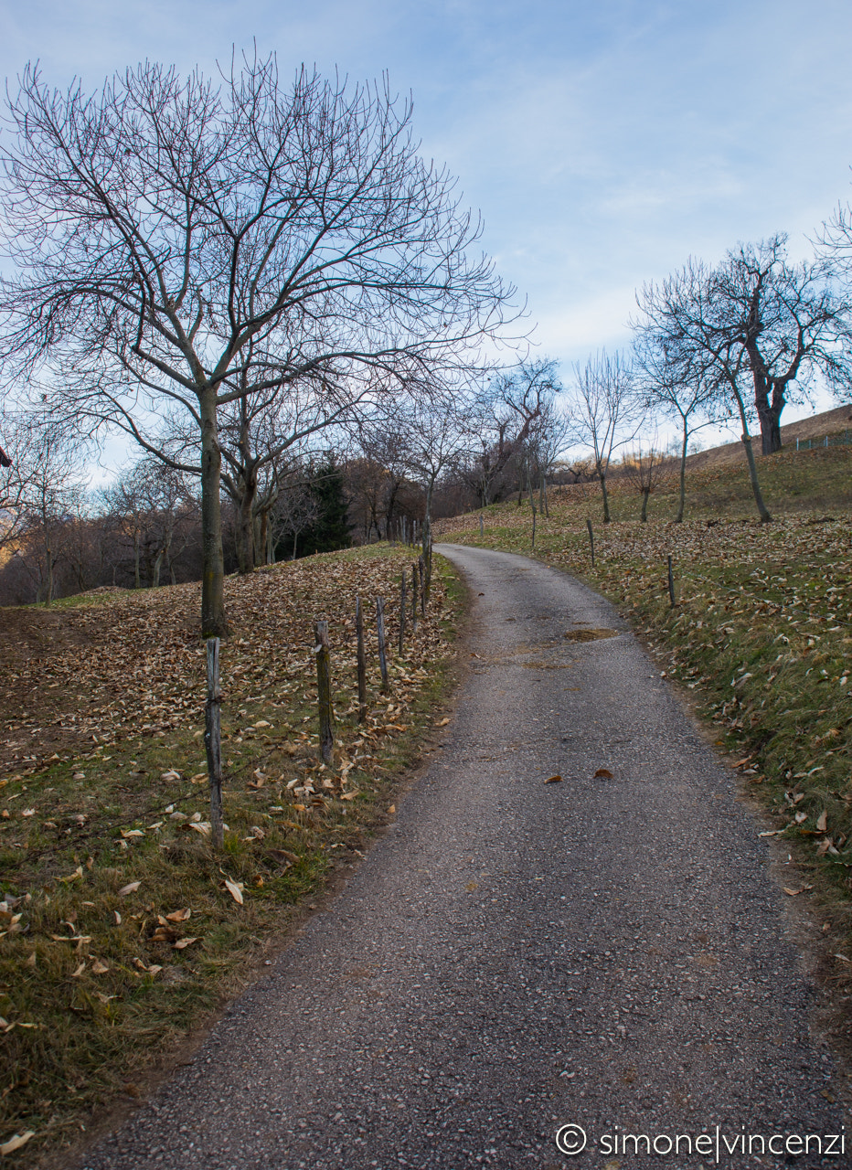 Canon EF 28-80mm f/3.5-5.6 USM sample photo