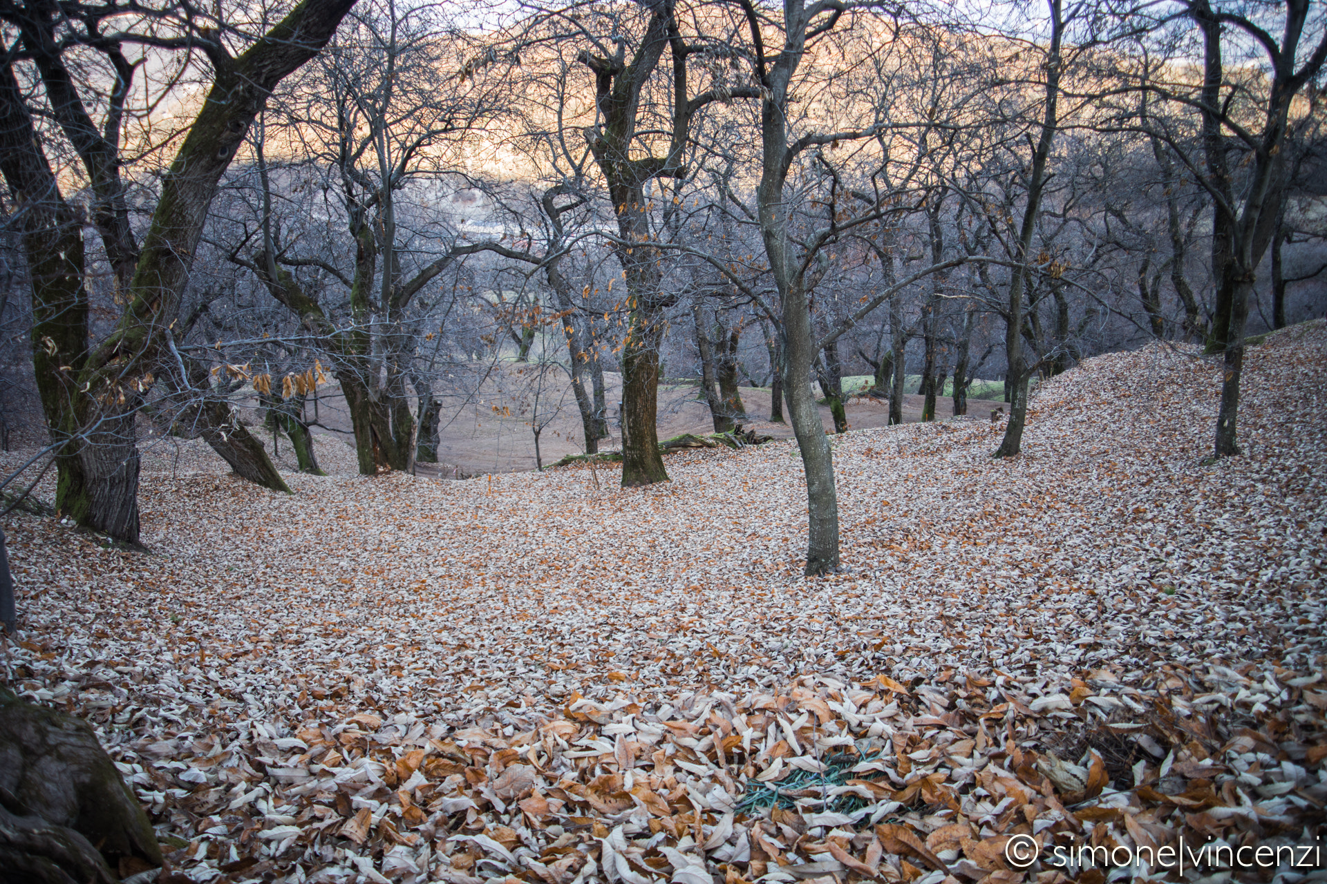 Canon EF 28-80mm f/3.5-5.6 USM sample photo