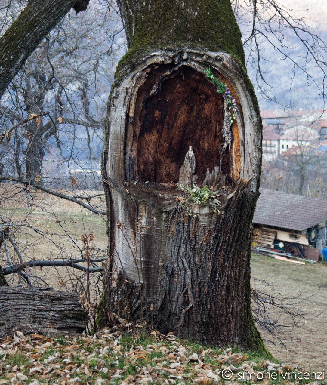 Canon EF 28-80mm f/3.5-5.6 USM sample photo