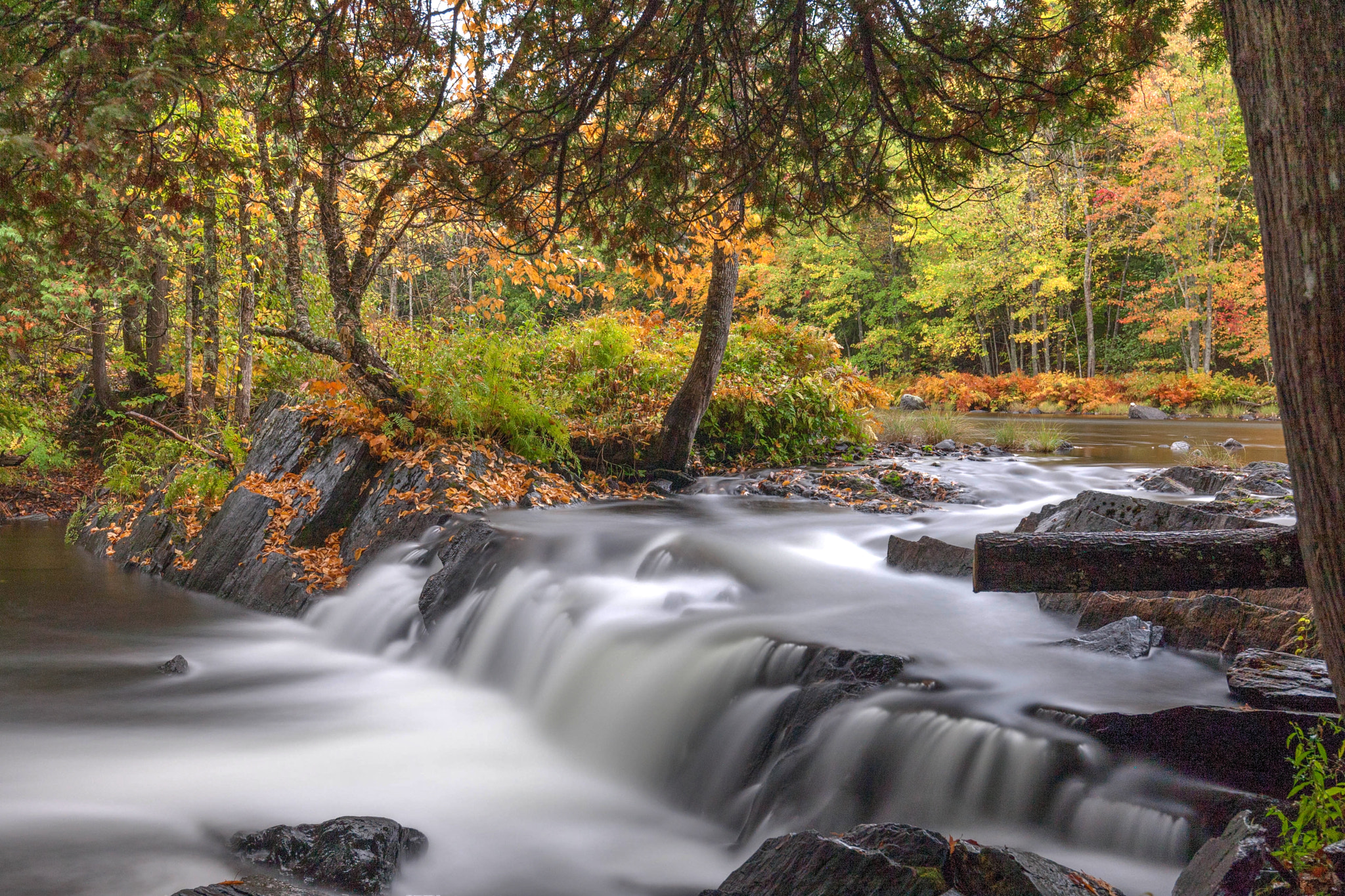 Canon EF 16-35mm F4L IS USM sample photo. Below cordova falls photography