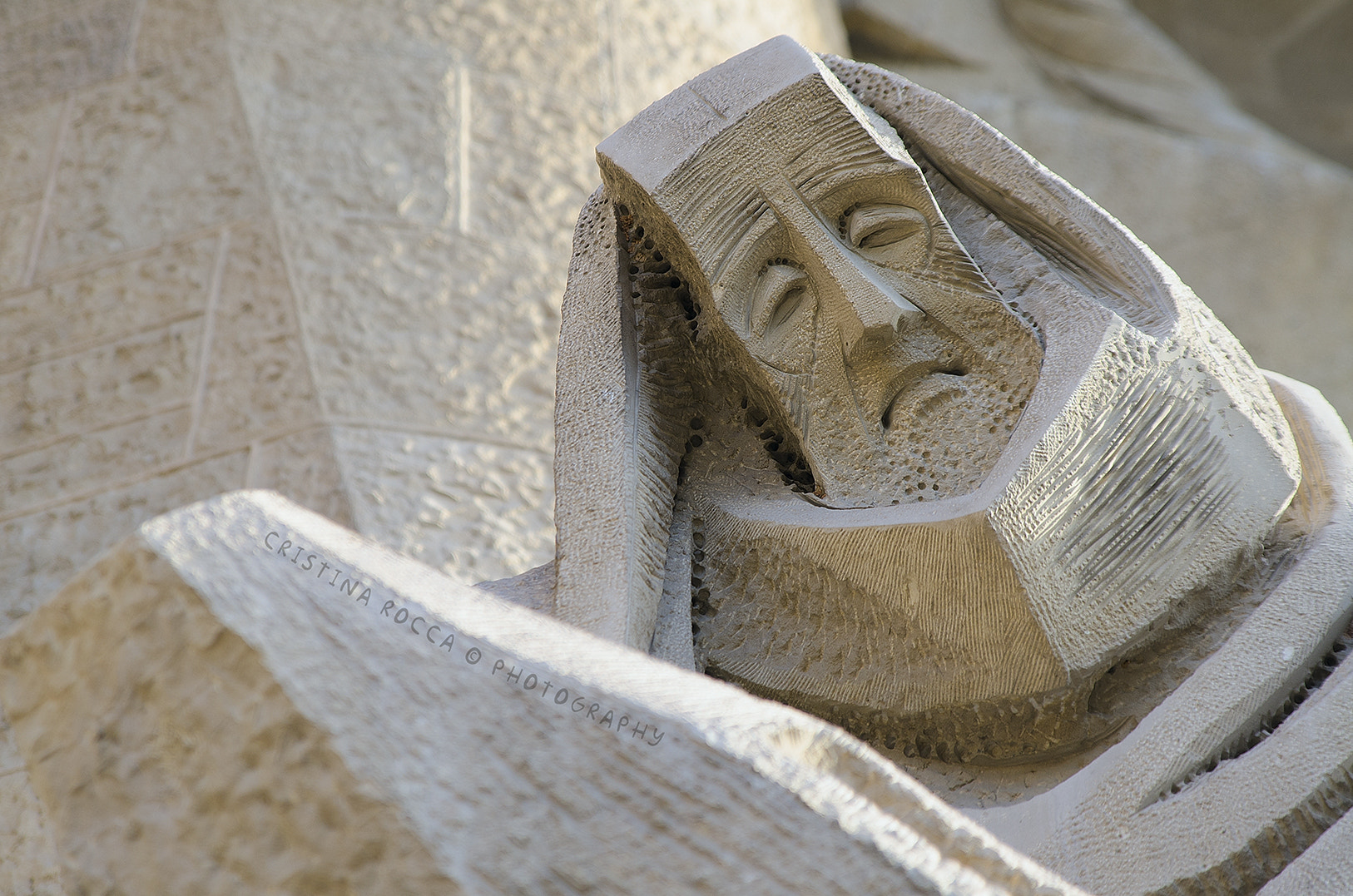 Tamron SP 24-70mm F2.8 Di VC USD sample photo. Sagrada familia - facciata della passione photography