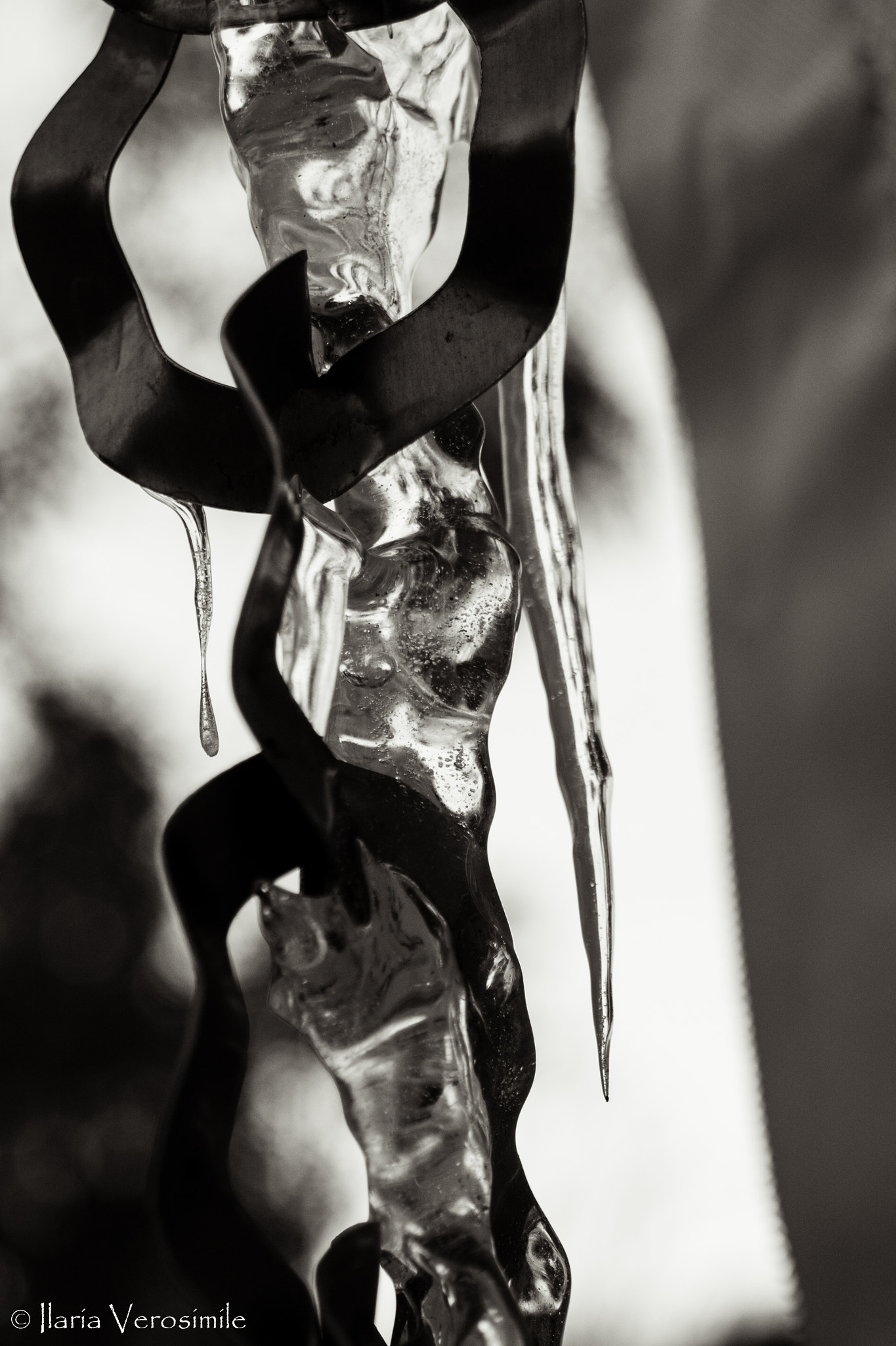 AF Zoom-Nikkor 35-70mm f/3.3-4.5 sample photo. Ice photography