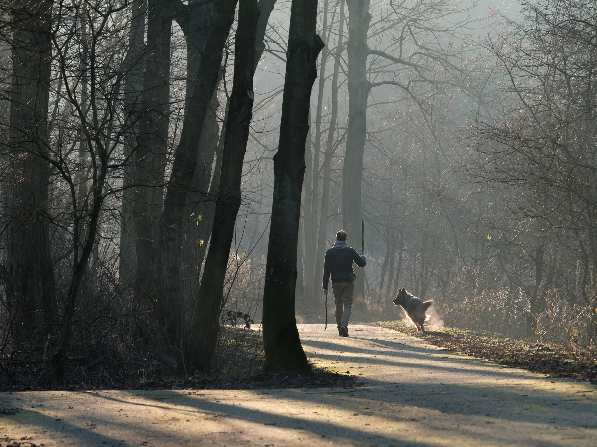 Fujifilm X-T2 + XF50-140mmF2.8 R LM OIS WR + 1.4x sample photo. Winterlight in the park photography