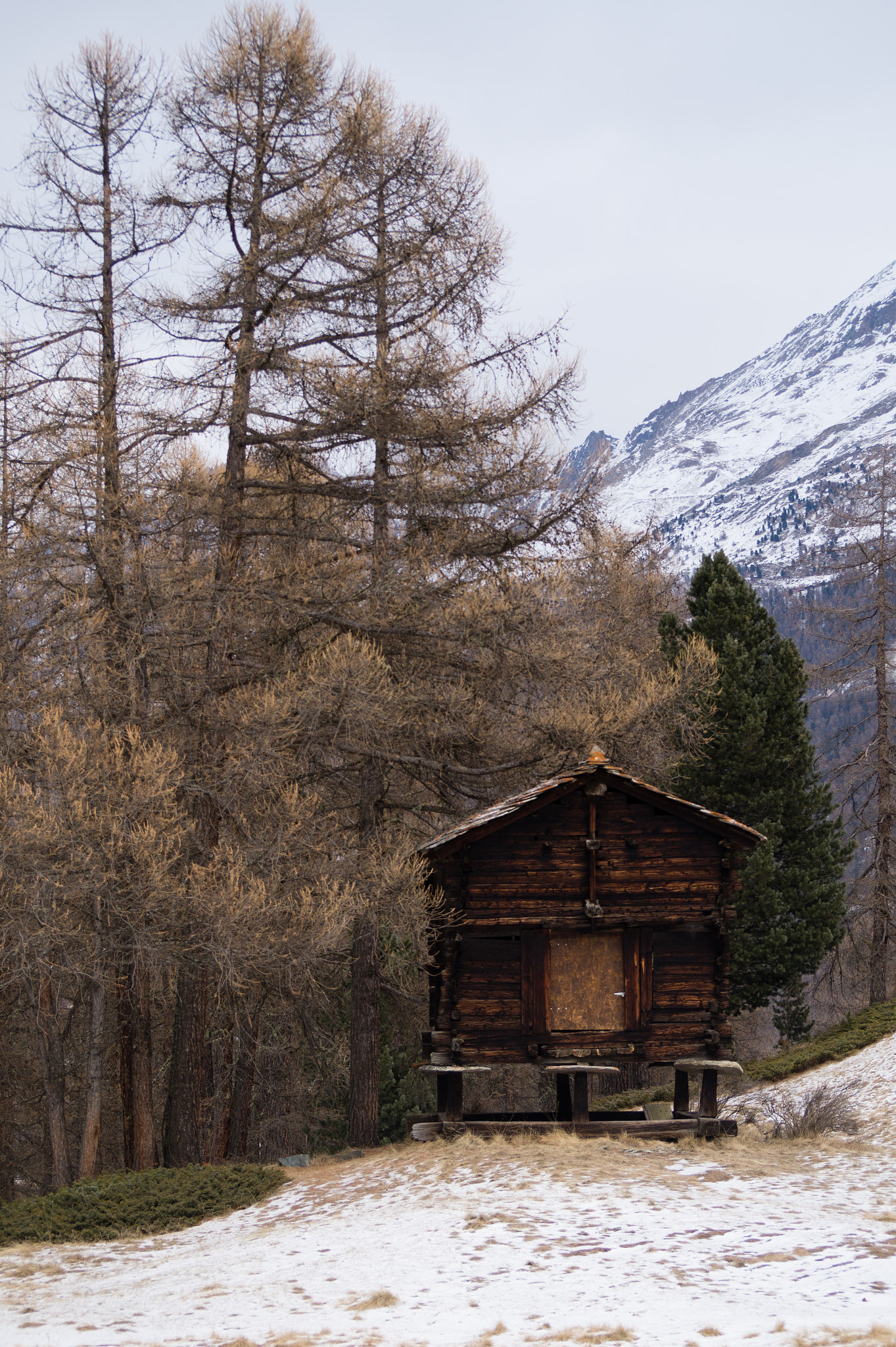Sony DT 55-300mm F4.5-5.6 SAM sample photo. Old wooden house photography