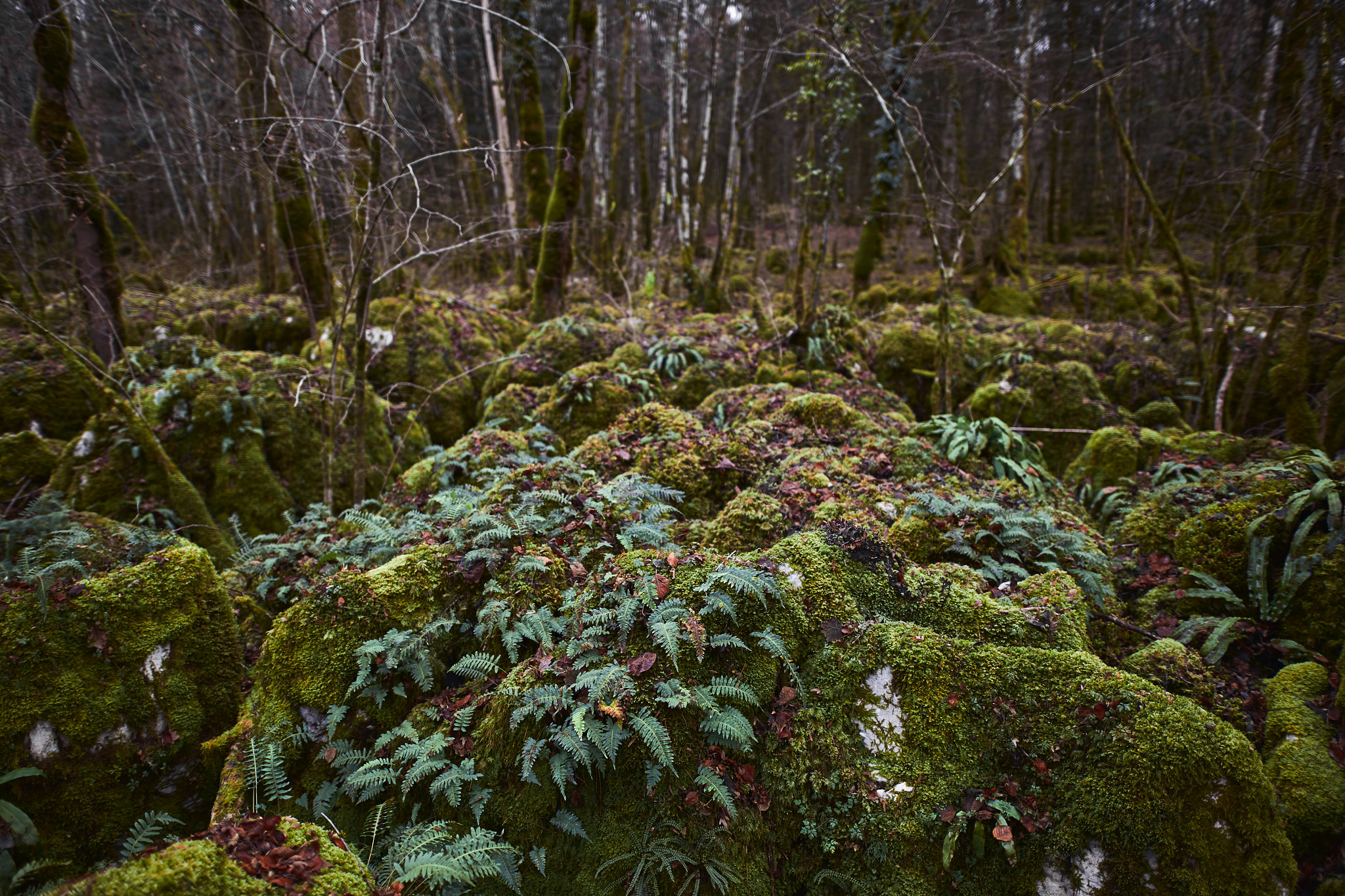 Canon EOS 6D + Sigma 20mm F1.4 DG HSM Art sample photo. Dédale photography