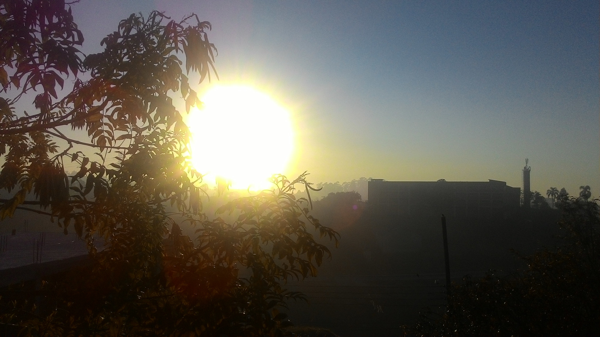ASUS T00J sample photo. Leaves breakfast photography