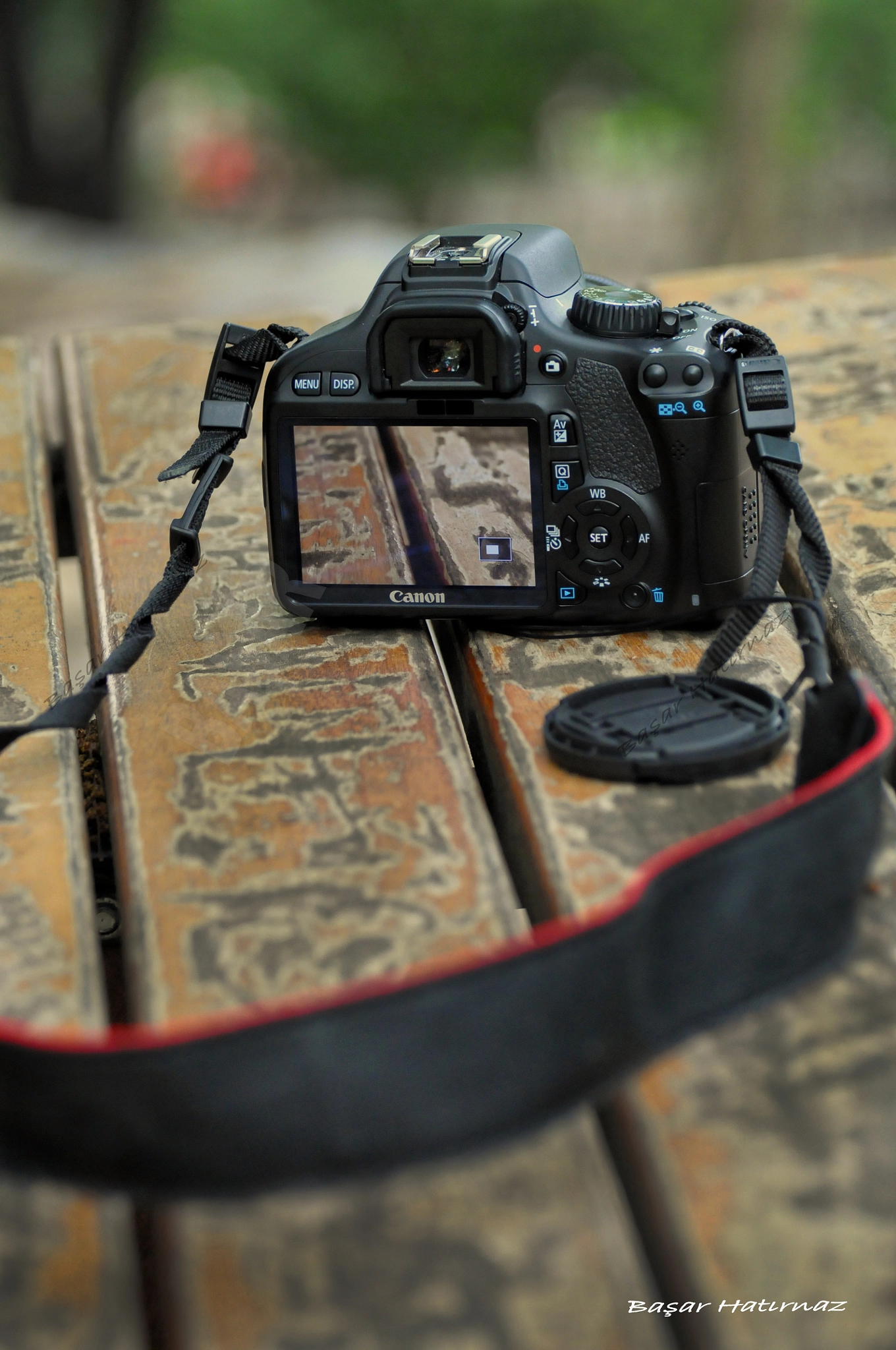 Nikon D300 sample photo. Zoom photography