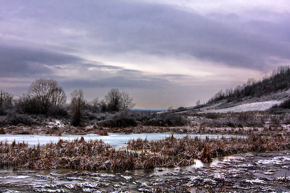 Tokina AT-X Pro 12-24mm F4 (IF) DX sample photo. Winter photography