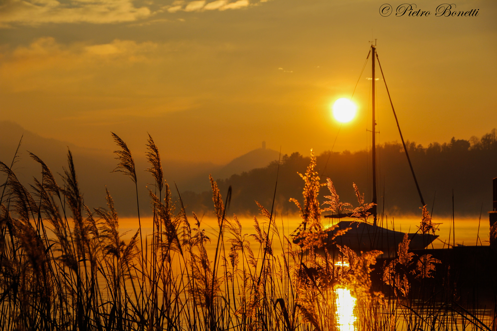 Canon EOS 60D sample photo. Morning gold photography