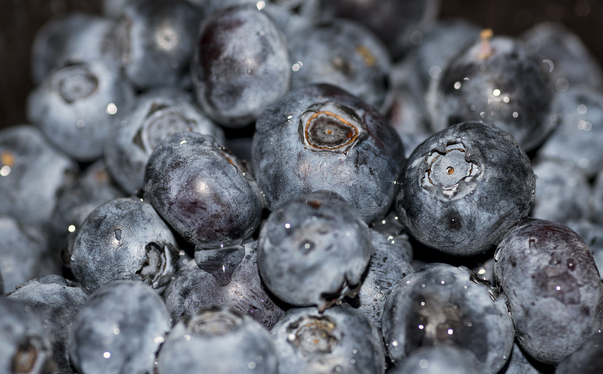 Nikon D750 + Tokina AT-X Pro 100mm F2.8 Macro sample photo. Blueberries photography