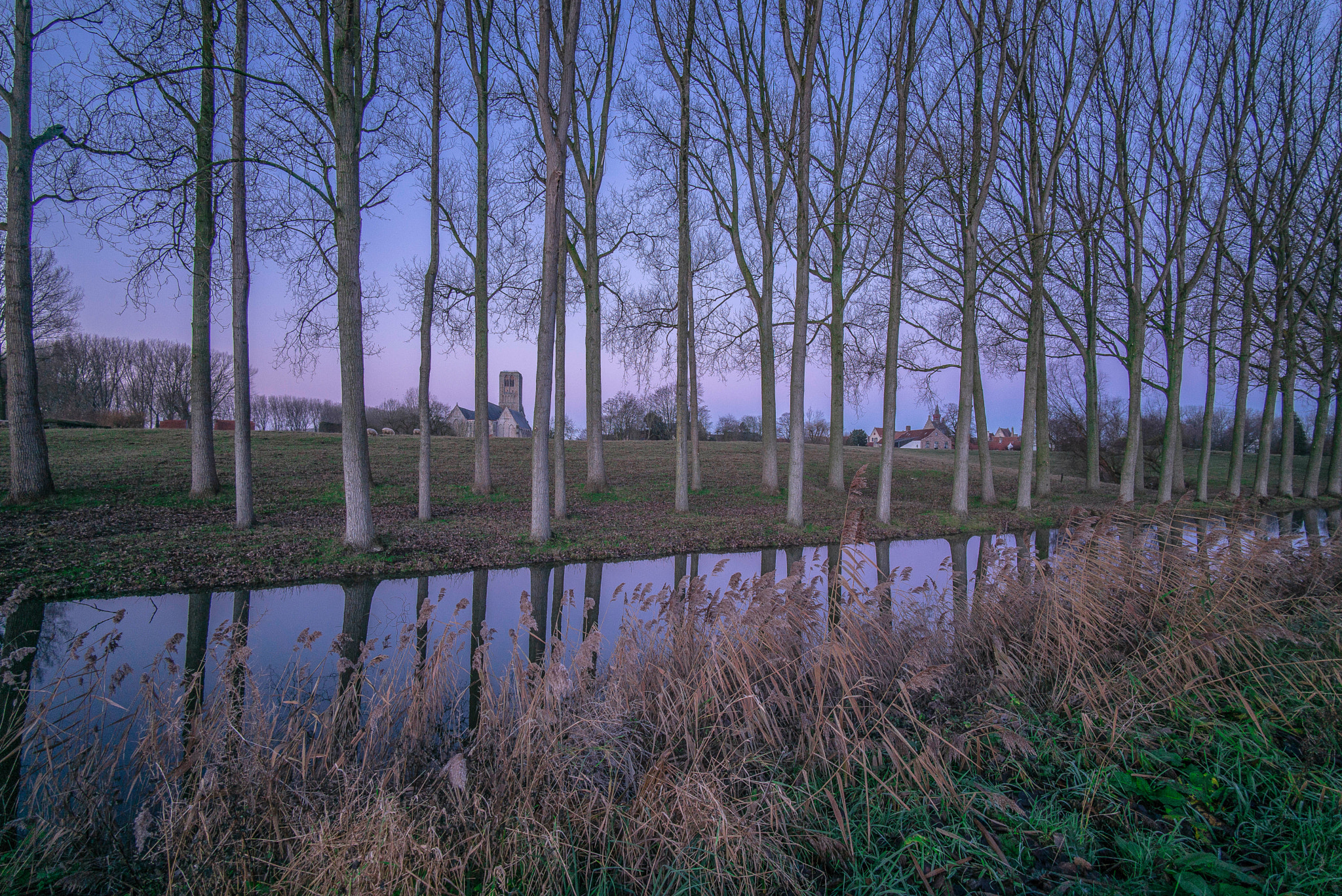 Leica M (Typ 240) + Leica Tri-Elmar-M 16-18-21mm F4 ASPH sample photo. Winter sunrise in damme photography