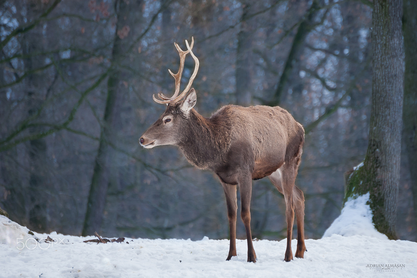 Canon EOS 5D sample photo. "the wild earth" photography