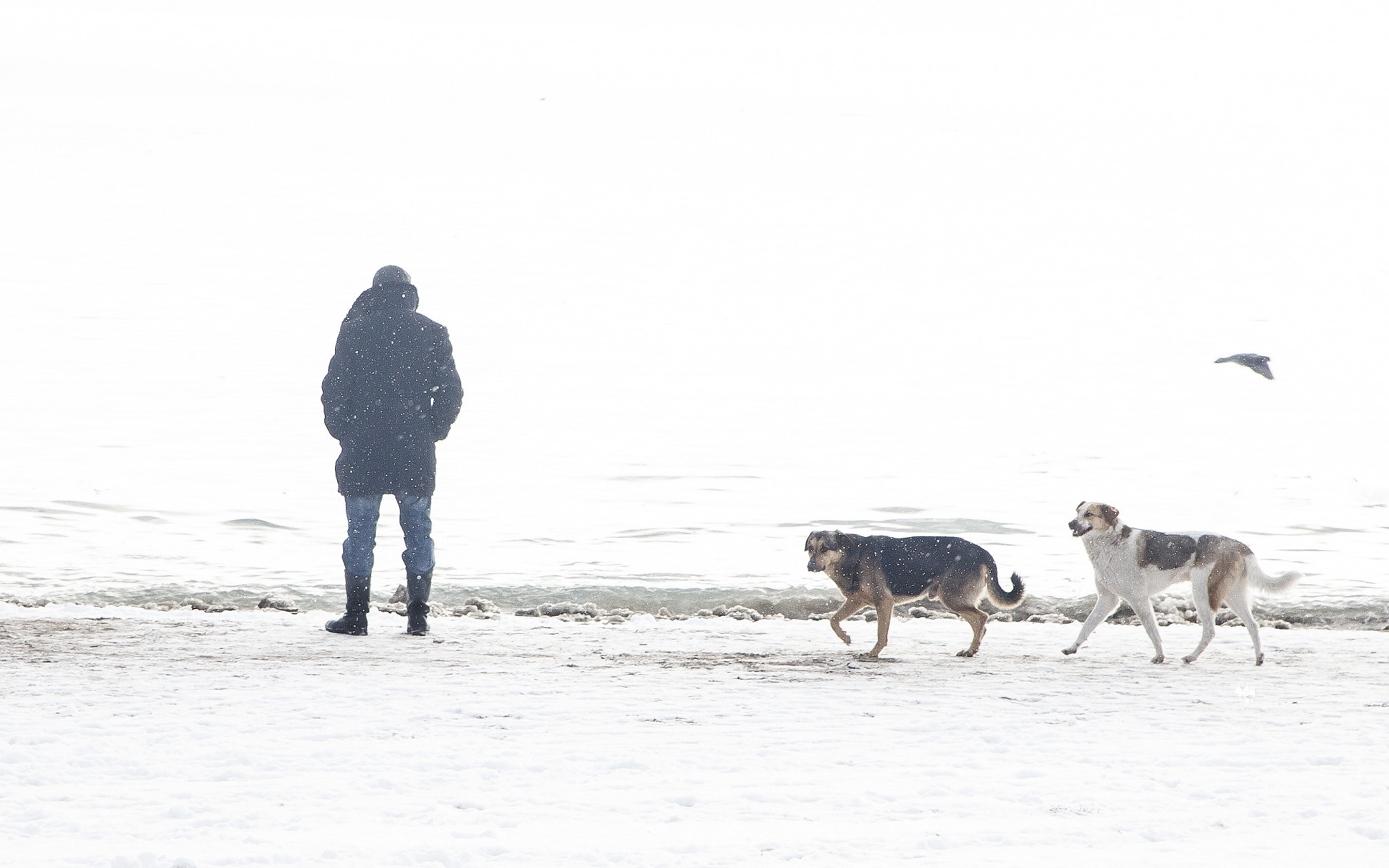Canon EF 28-105mm f/3.5-4.5 USM sample photo