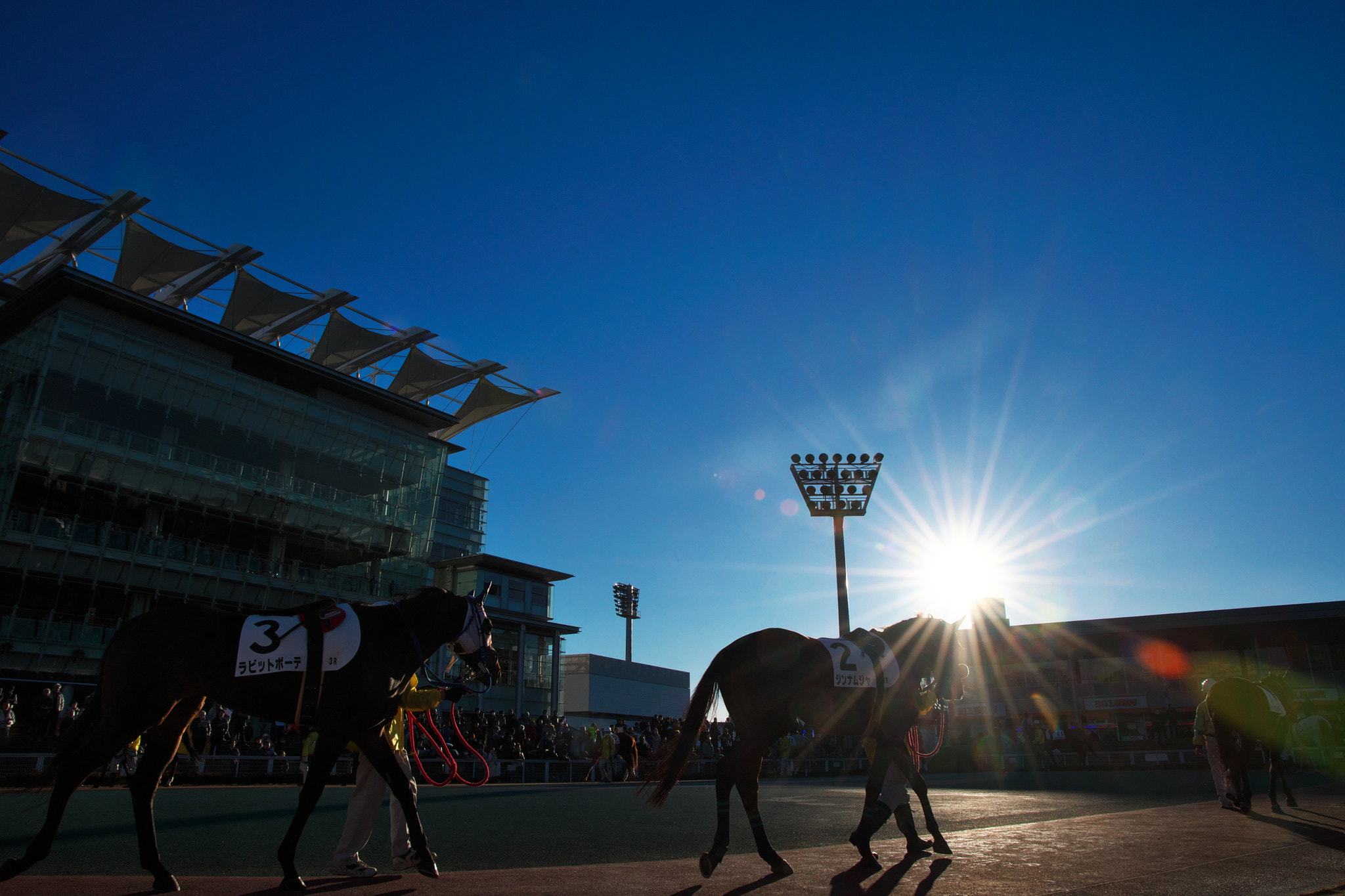 VR 16-85mm F/3.5-5.6 G sample photo. Parade ring in the backlight photography