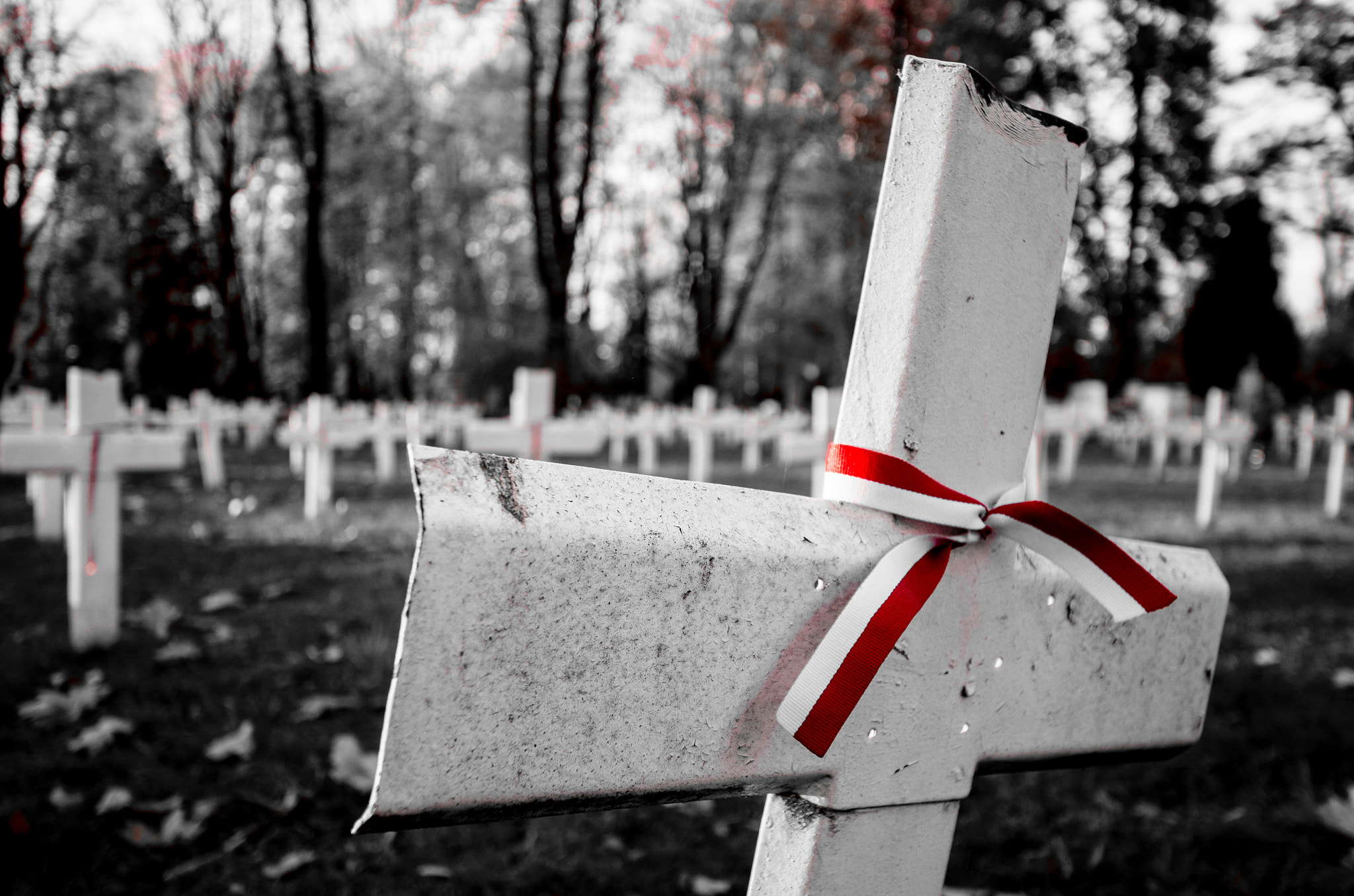 Sigma 70-200mm F2.8 EX DG Macro HSM II sample photo. Cemetary photography