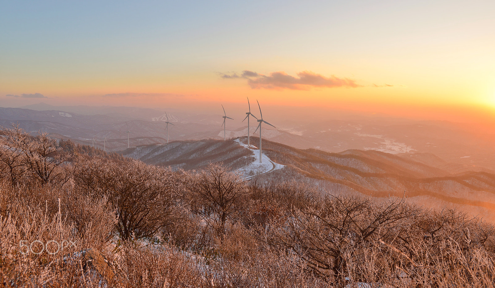 Nikon AF-S Nikkor 17-35mm F2.8D ED-IF sample photo. Winter forest photography