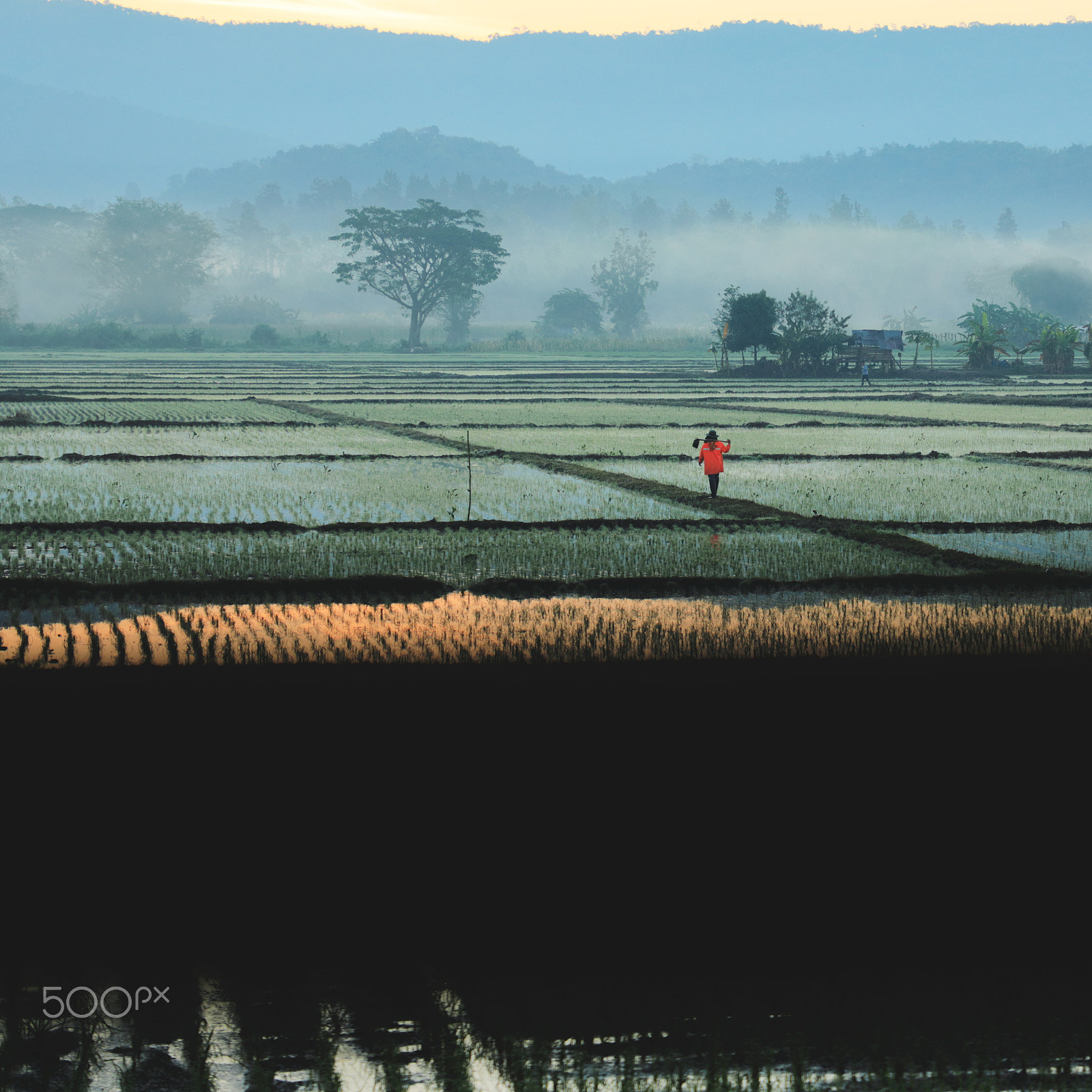 Canon EF 24-105mm F4L IS II USM sample photo. Farmers photography