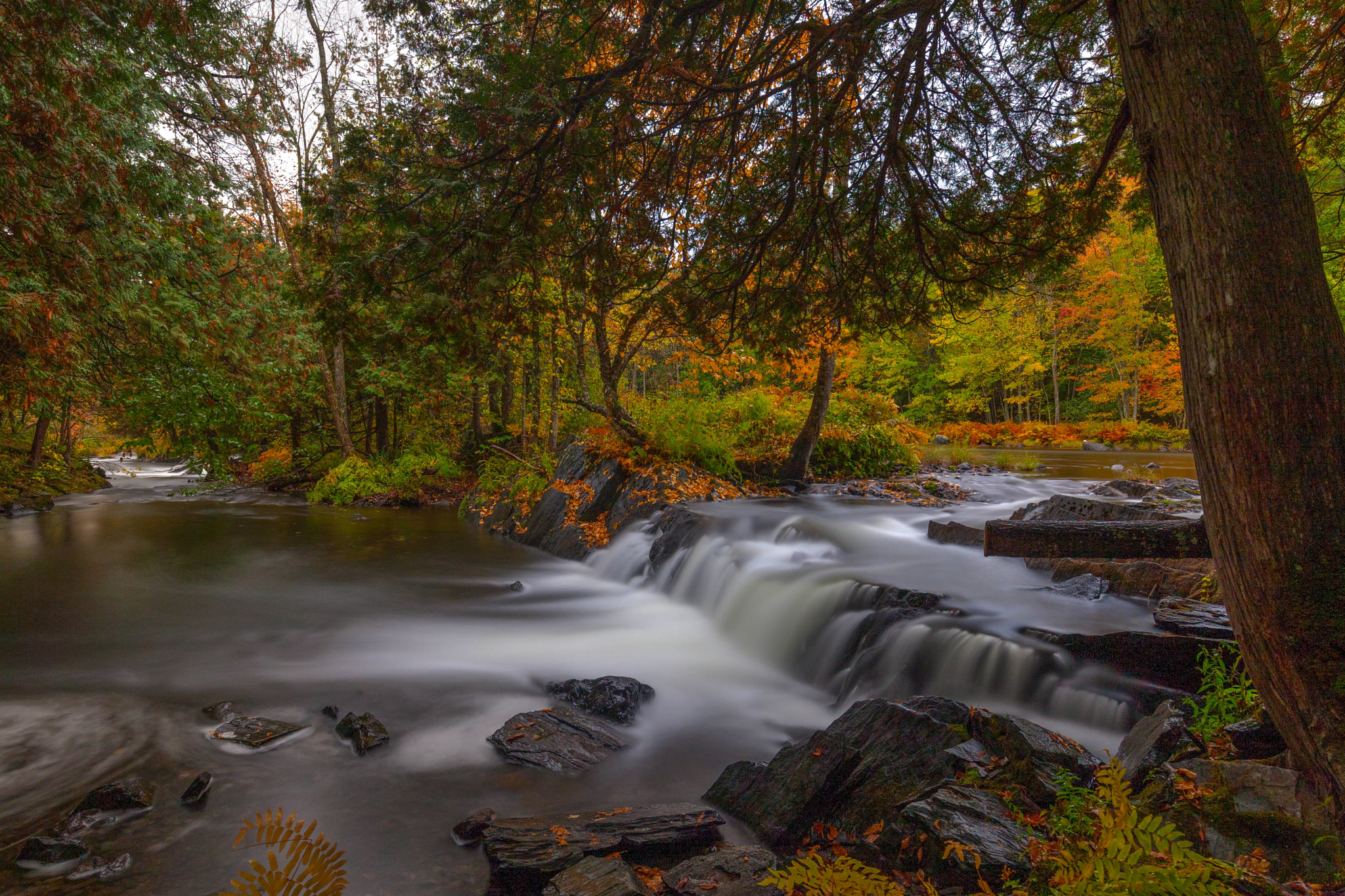 Canon EF 16-35mm F4L IS USM sample photo. Fall at cordova photography