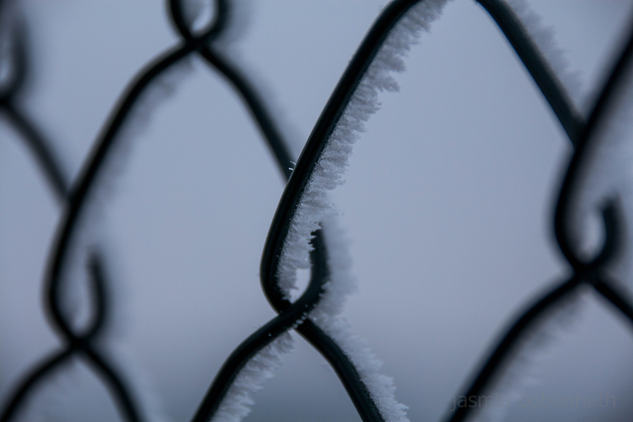Sigma 18-250mm F3.5-6.3 DC OS HSM sample photo. Frozen photography