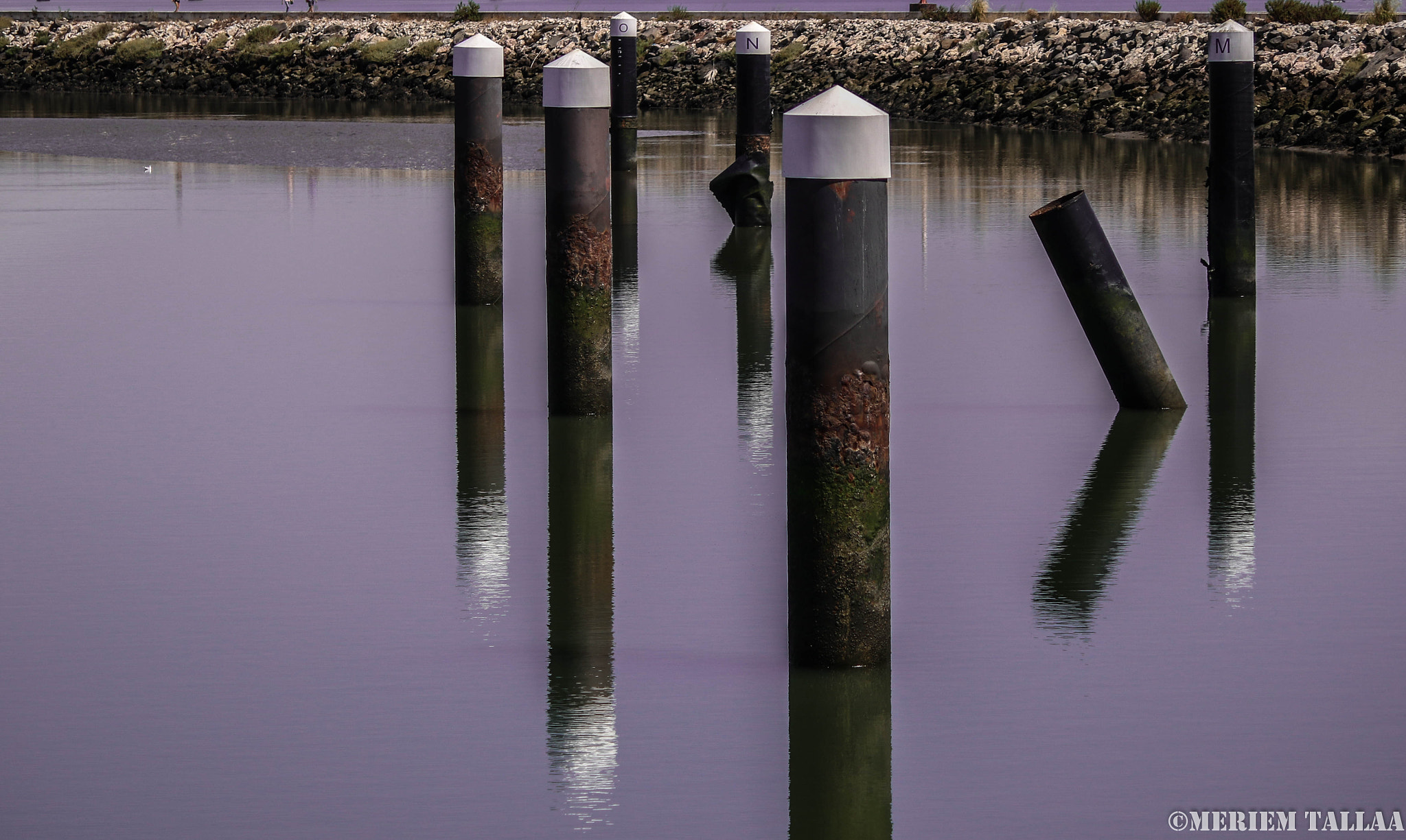Canon EF-S 55-250mm F4-5.6 IS sample photo. Reflection photography