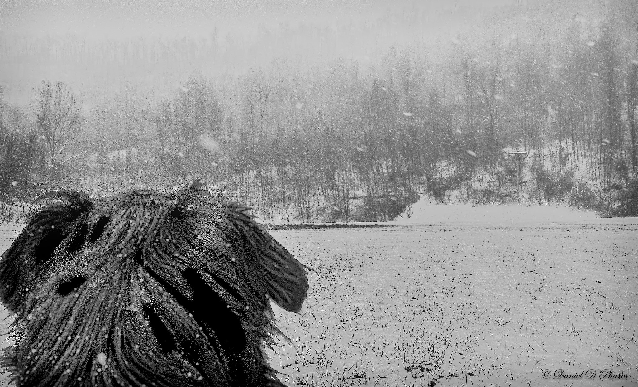 Olympus X-3,C-60Z sample photo. Dad, what's this white stuff? photography