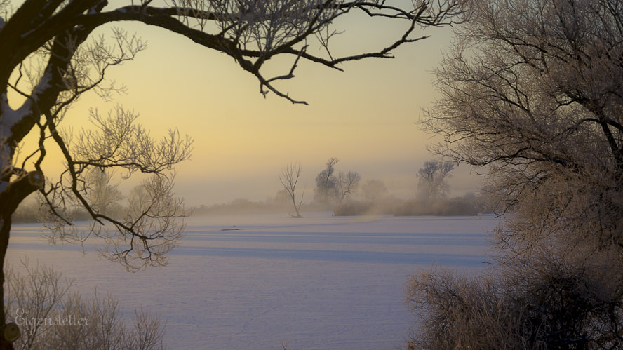 Pentax K10D sample photo. Cold danube photography