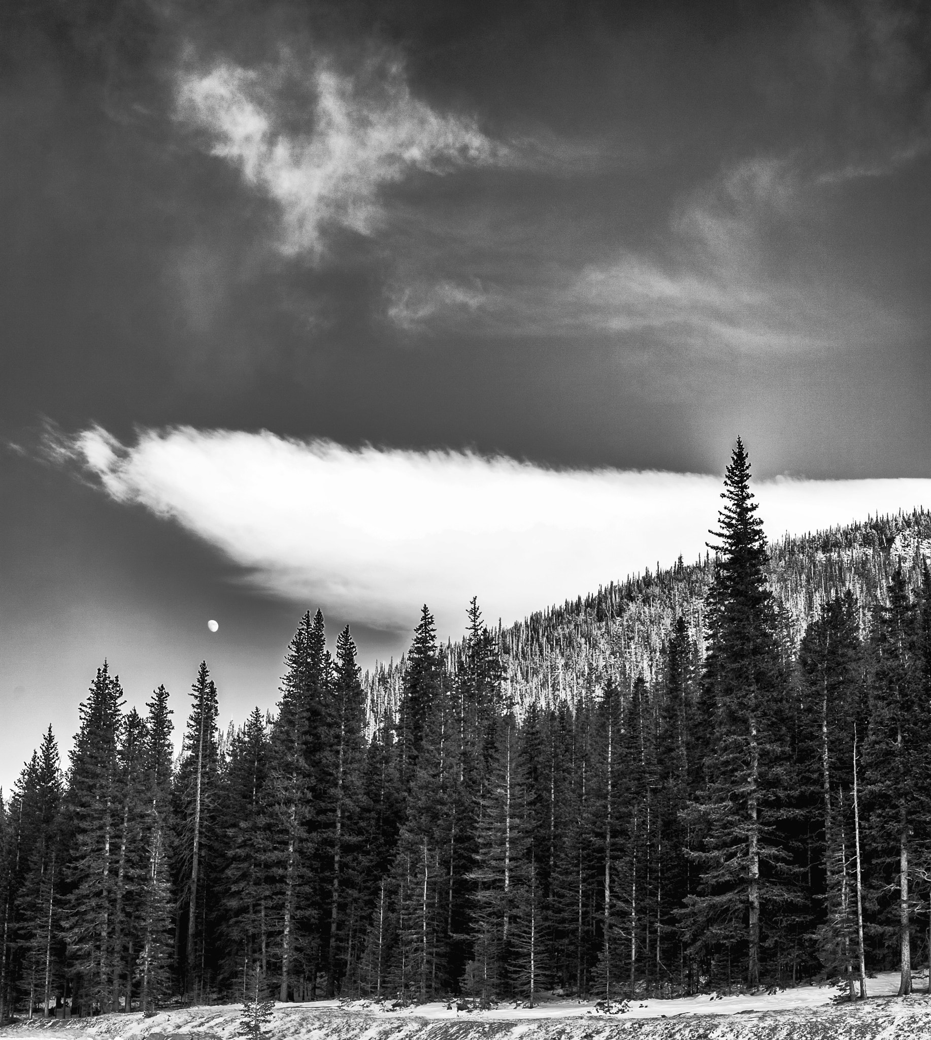 Canon EOS 5D sample photo. Winter in the rocky mountains photography