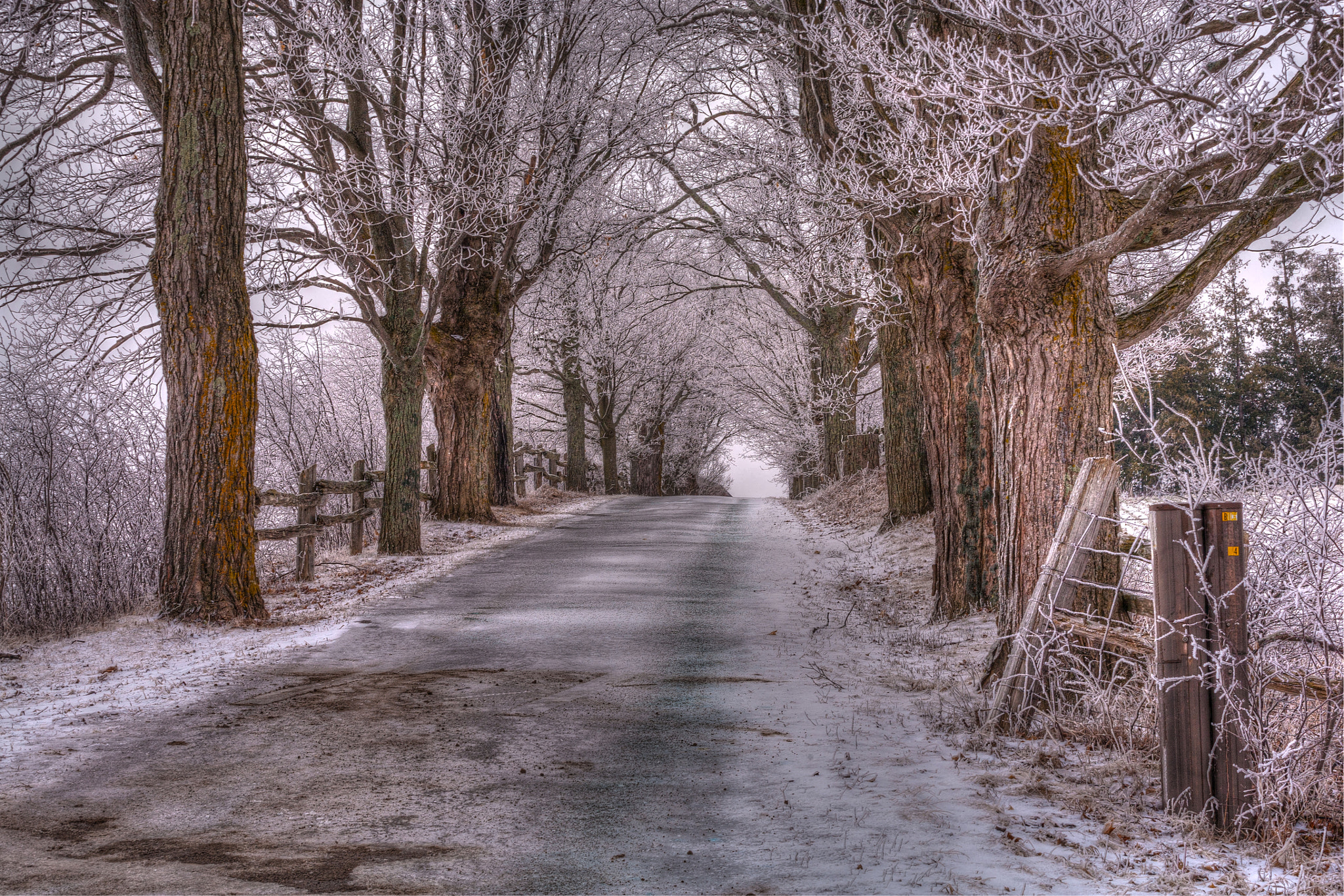 Canon EOS 5D + Canon EF 70-200mm F4L USM sample photo. The driveway photography