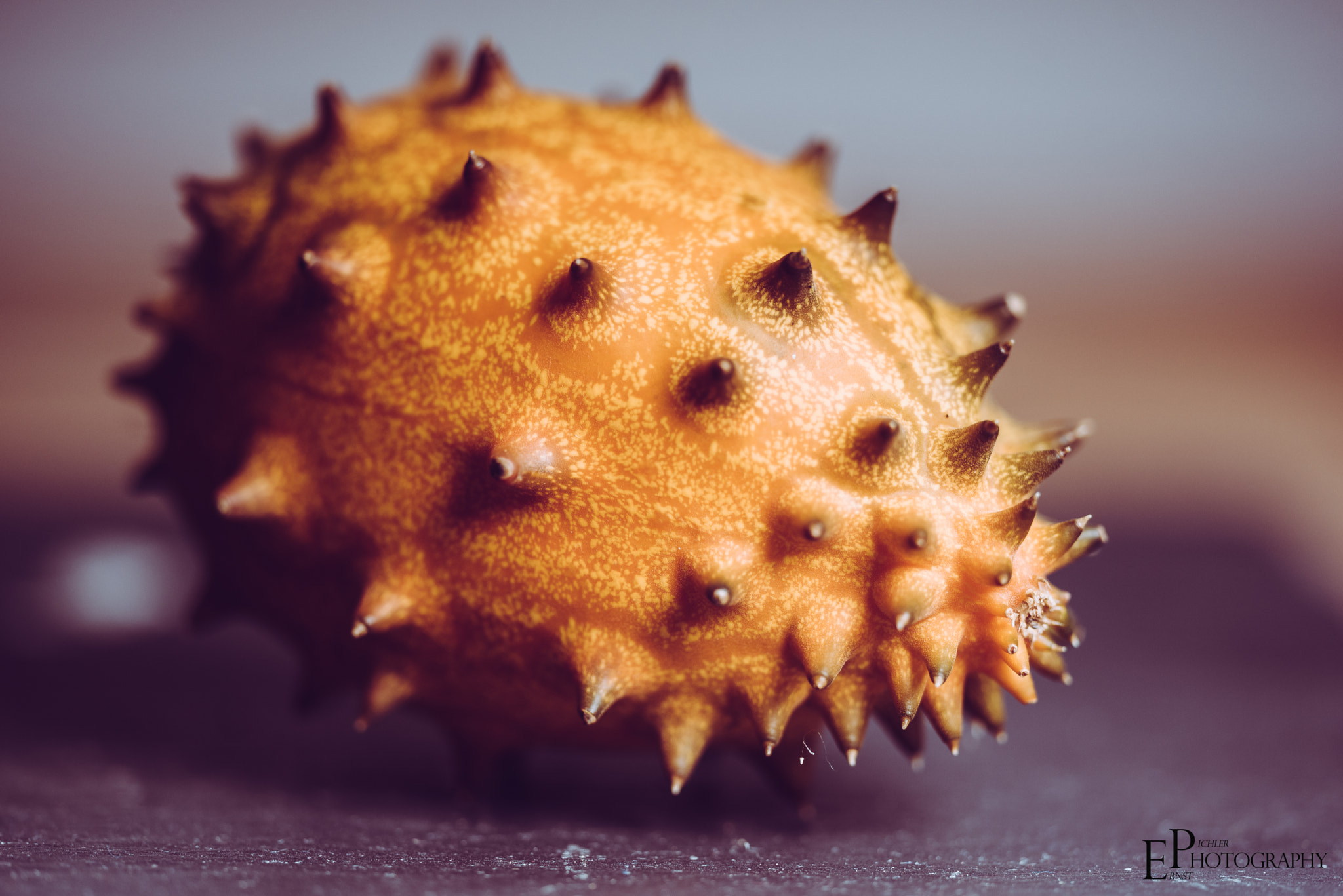 Sigma 150mm F2.8 EX DG OS Macro HSM sample photo. Kiwano photography