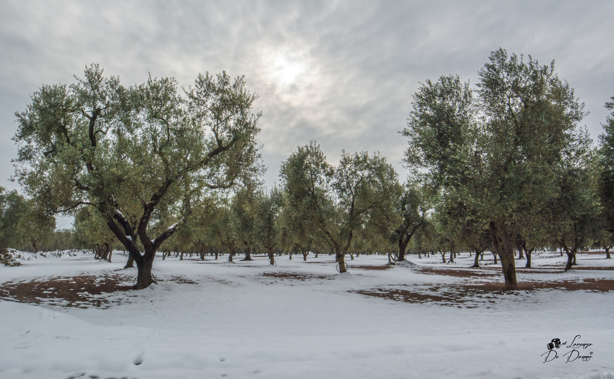 Samyang 14mm F2.8 ED AS IF UMC sample photo. In assenza.. photography